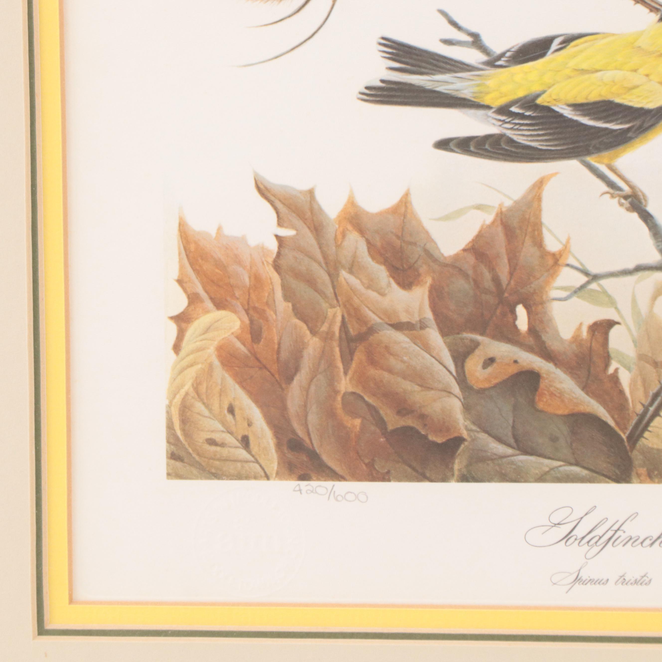 John Ruthven Offset Lithograph "Goldfinch"