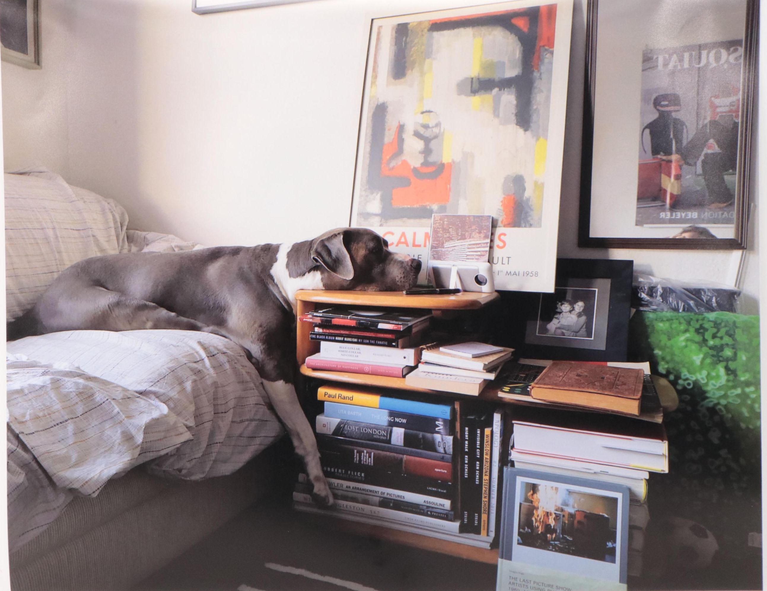 Jeff Brinkman Digital Photograph "Creative Sleeper," 2020