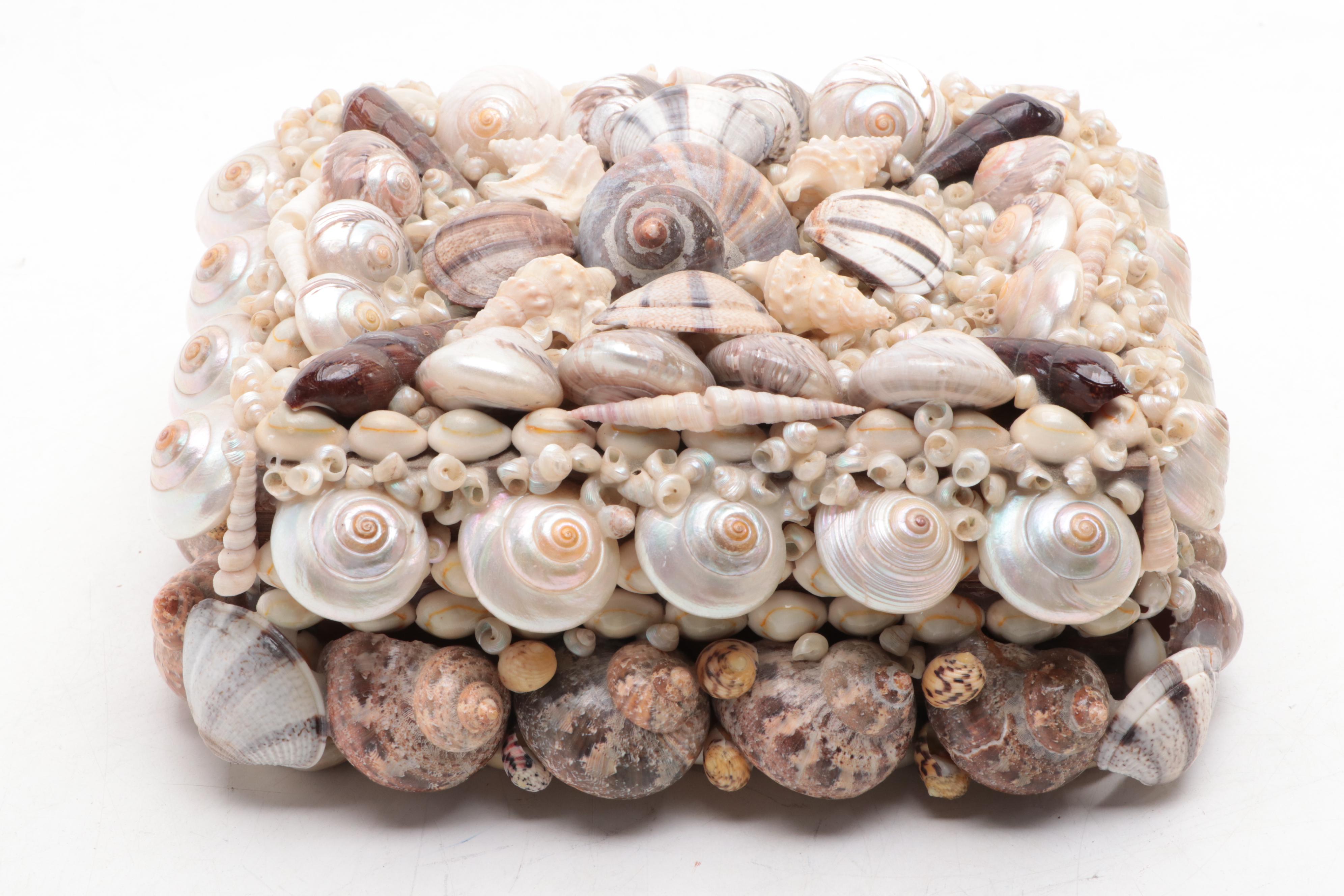 Cowrie, Turbo and Striped Clam Shell Embellished Trinket Boxes