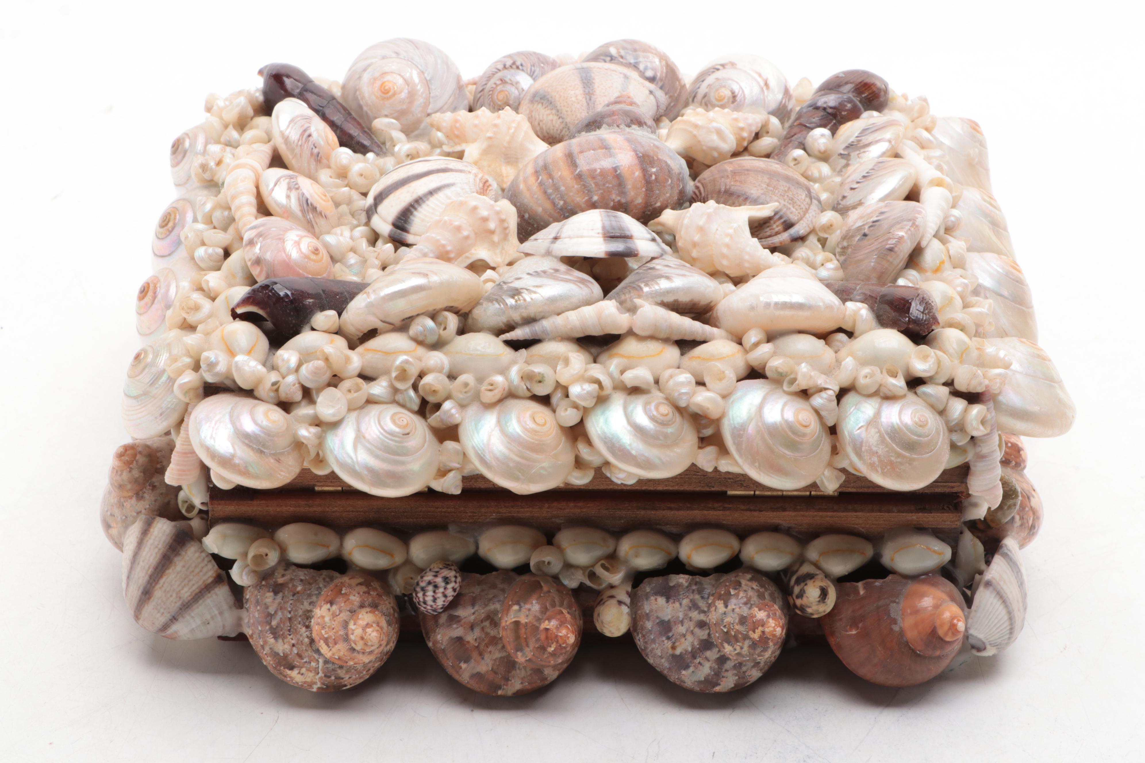 Cowrie, Turbo and Striped Clam Shell Embellished Trinket Boxes