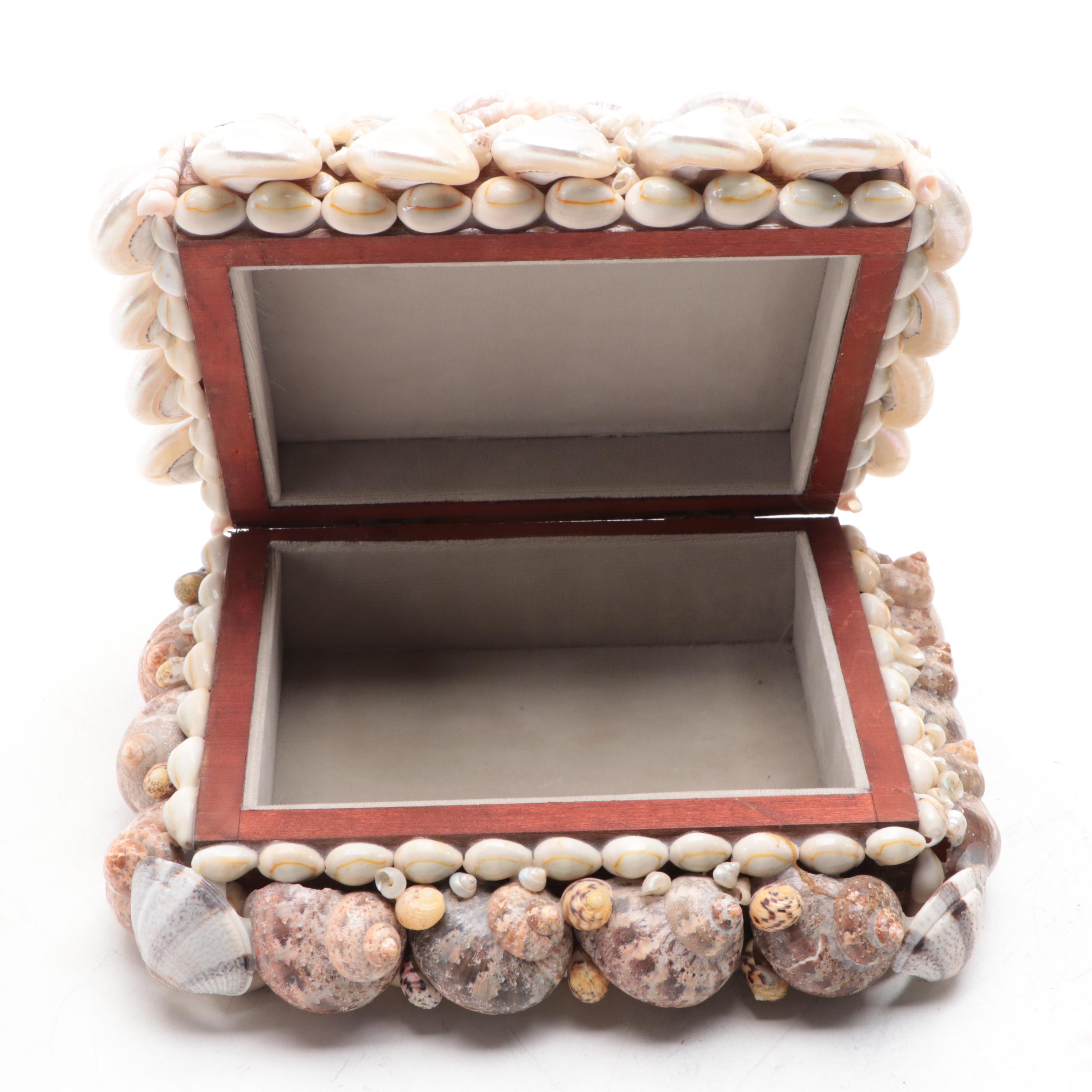 Cowrie, Turbo and Striped Clam Shell Embellished Trinket Boxes