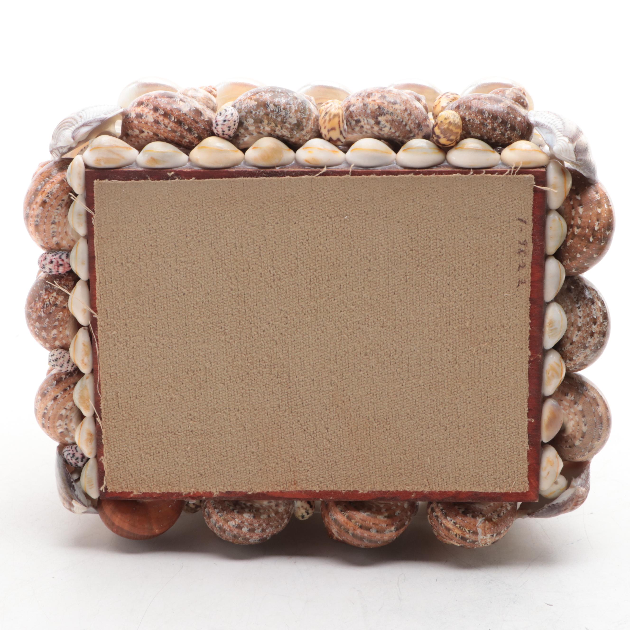 Cowrie, Turbo and Striped Clam Shell Embellished Trinket Boxes