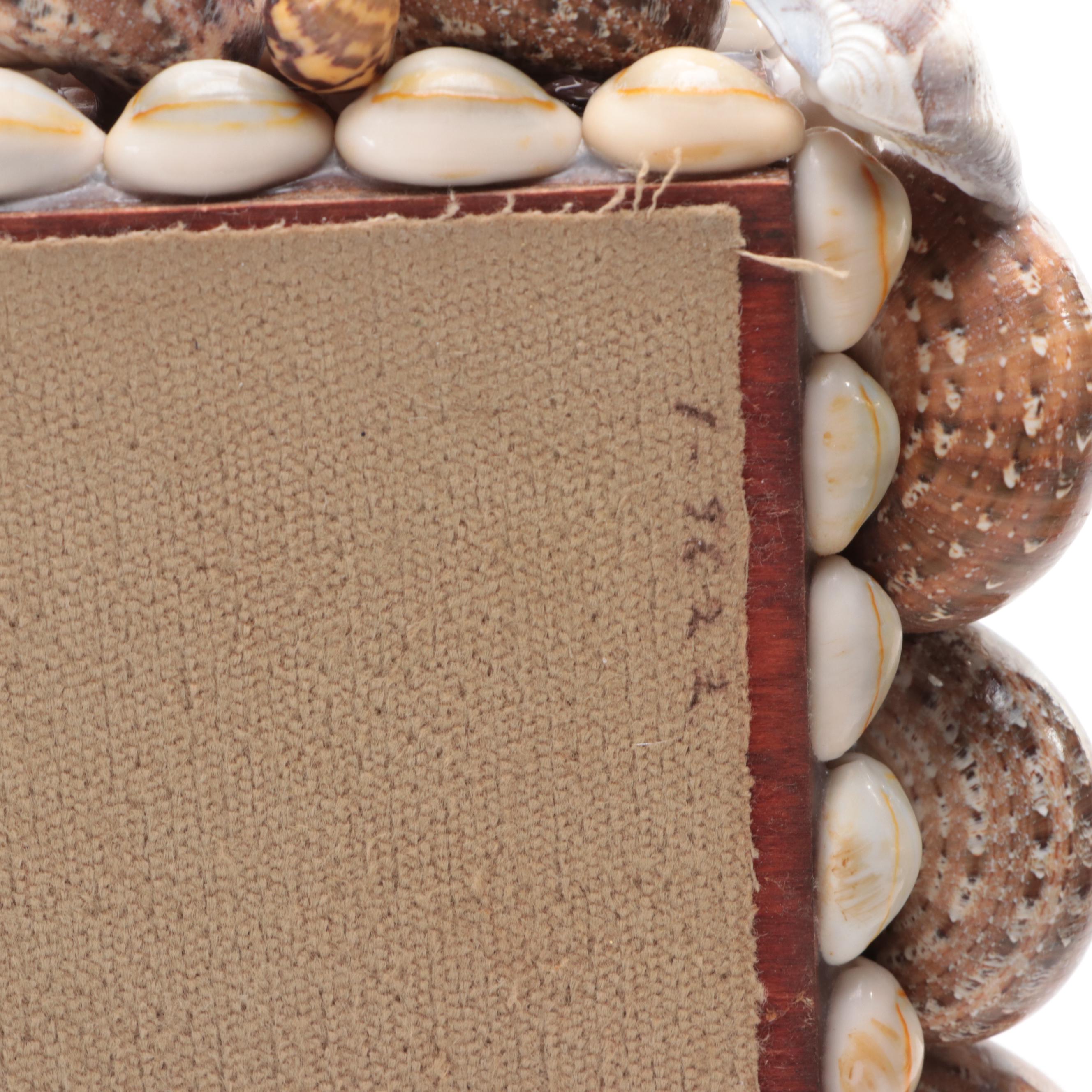 Cowrie, Turbo and Striped Clam Shell Embellished Trinket Boxes