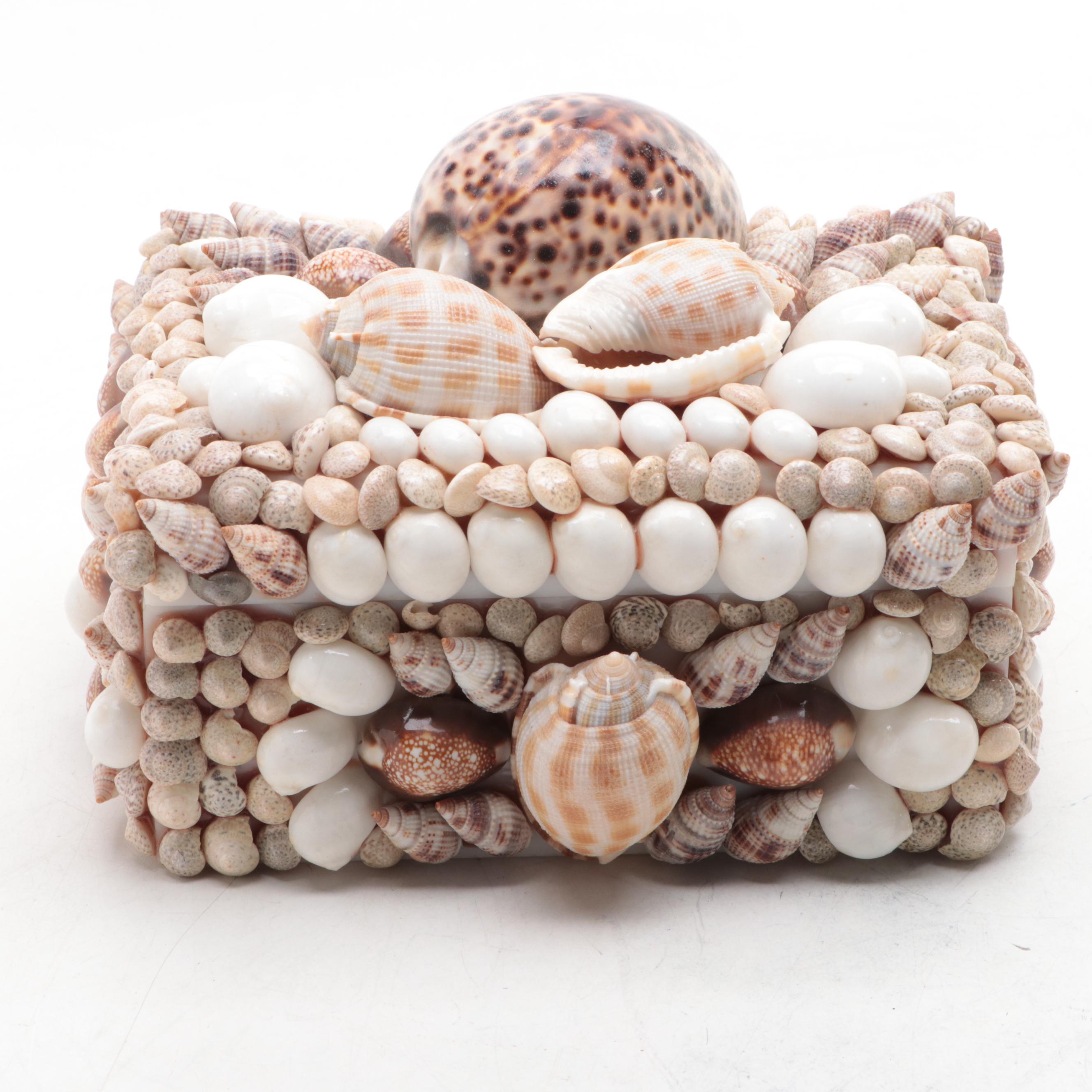 Cowrie, Turbo and Striped Clam Shell Embellished Trinket Boxes