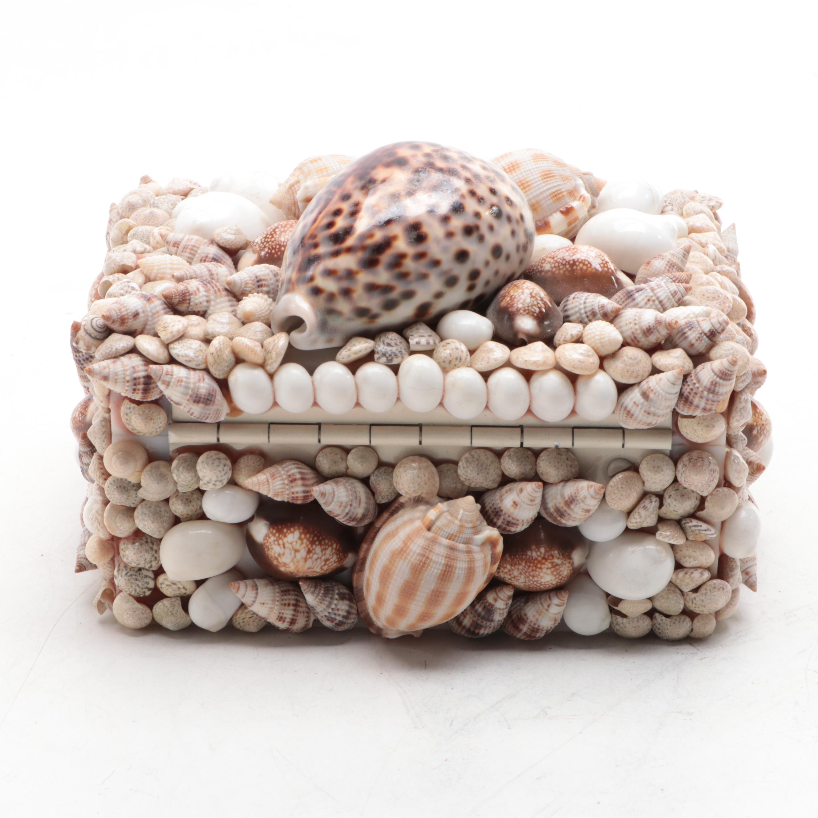 Cowrie, Turbo and Striped Clam Shell Embellished Trinket Boxes