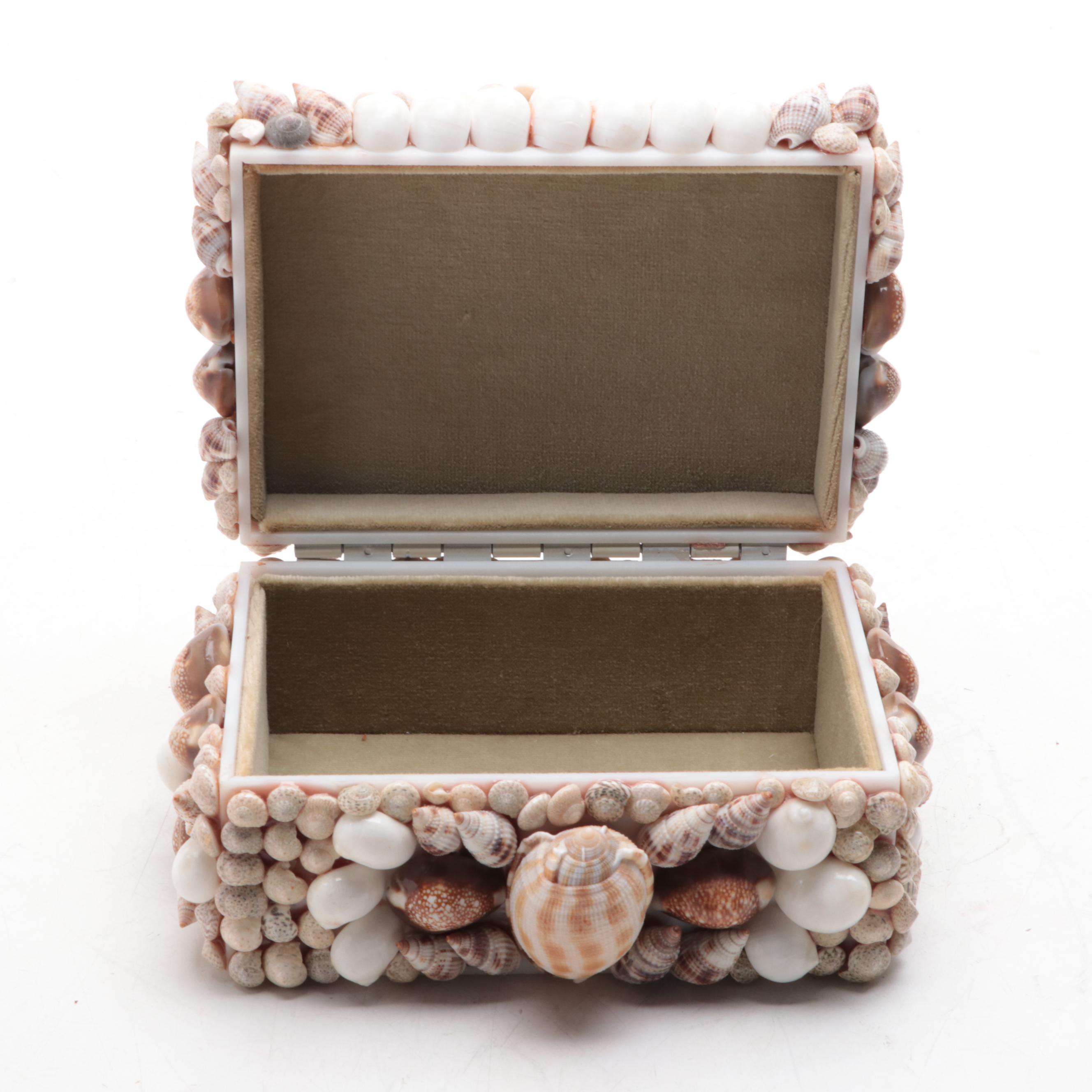 Cowrie, Turbo and Striped Clam Shell Embellished Trinket Boxes
