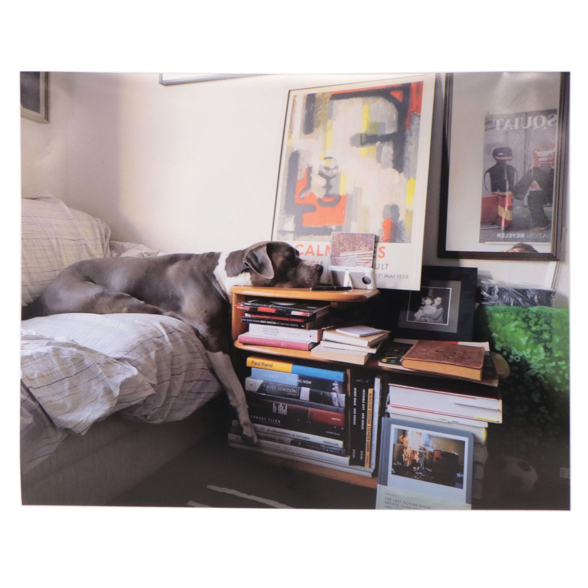 Jeff Brinkman Digital Photograph "Creative Sleeper," 2020