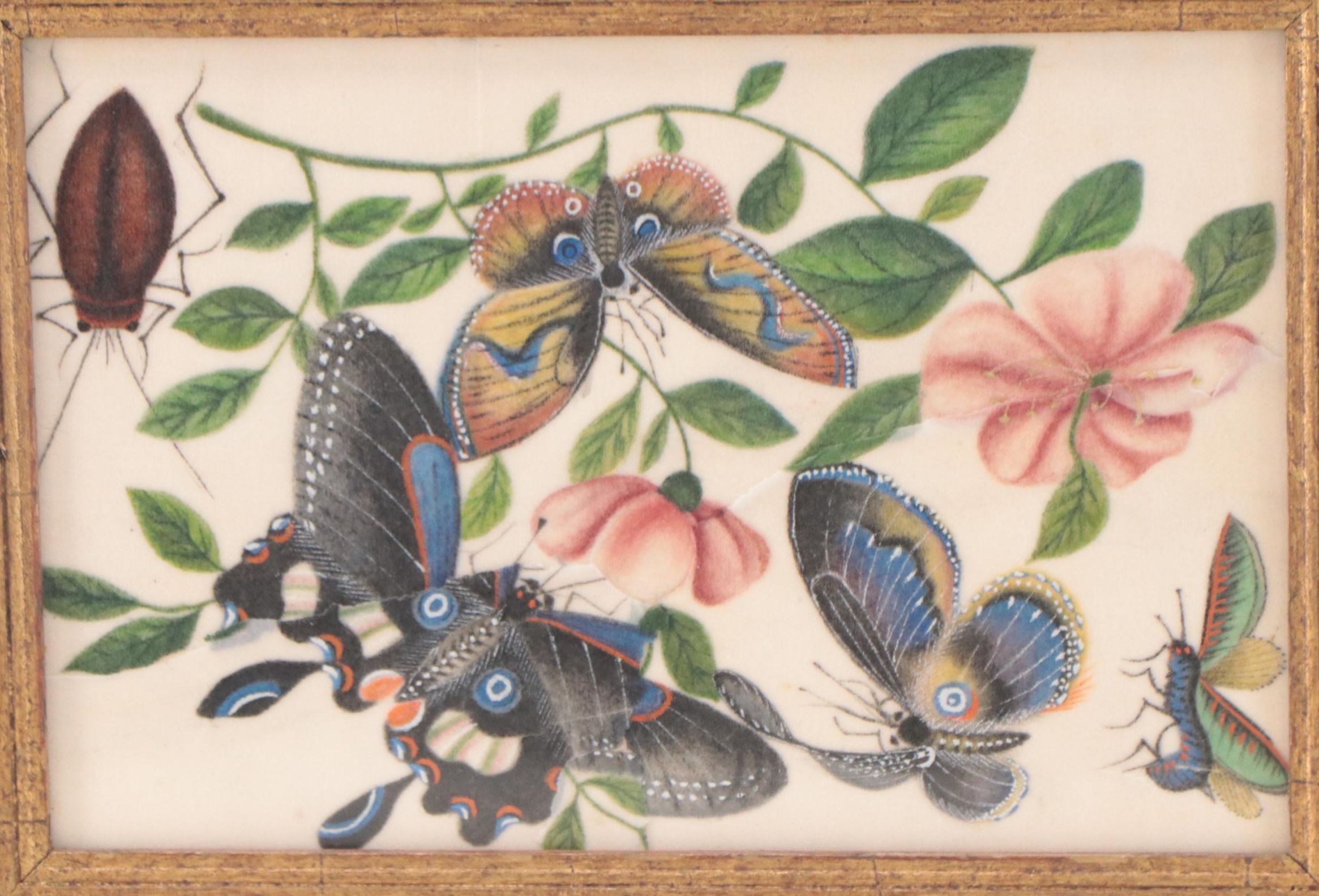 Chinese Pith Paintings of Butterflies and Other Insects, 19th Century