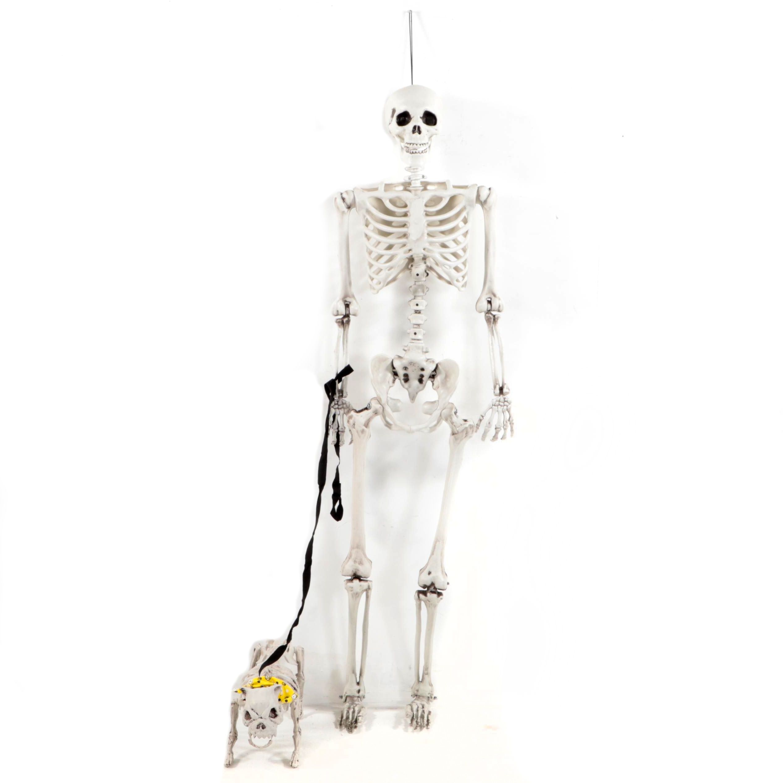 Halloween Plastic Skeleton Walking Dog Skeleton