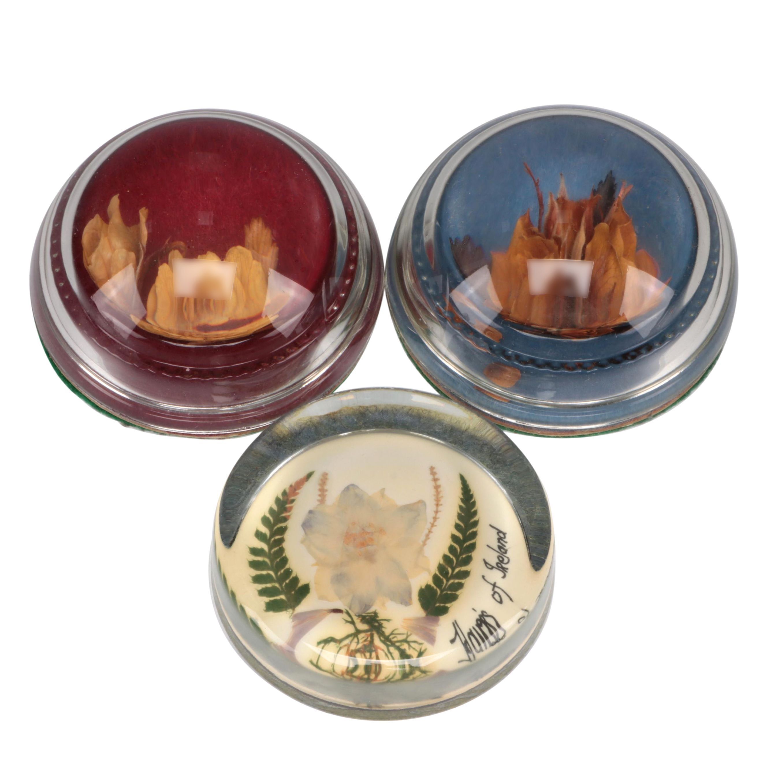 "Flowers of Ireland" and Other Pressed Flower Paperweights