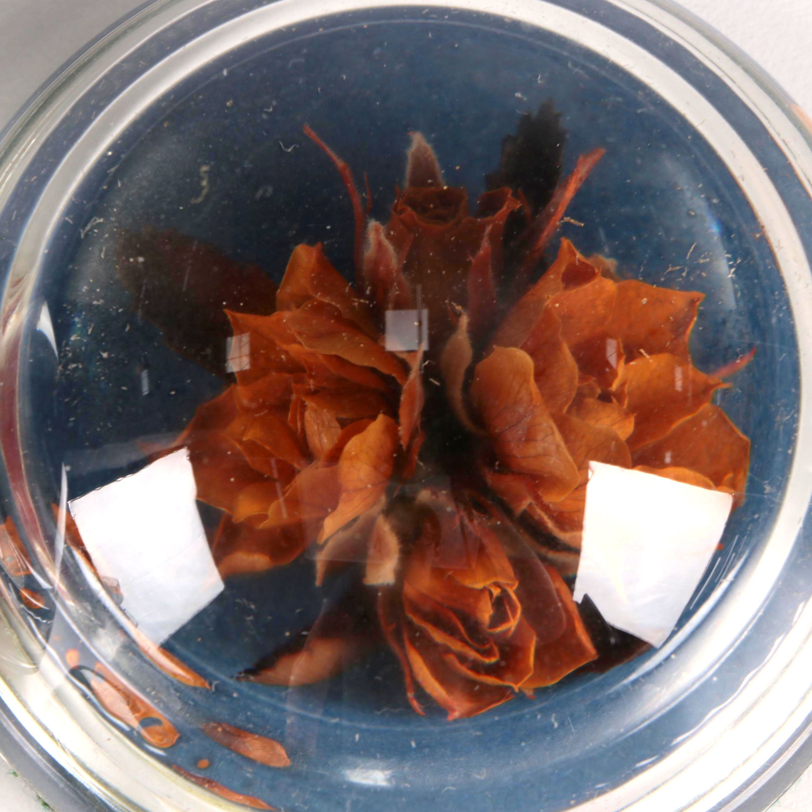 "Flowers of Ireland" and Other Pressed Flower Paperweights