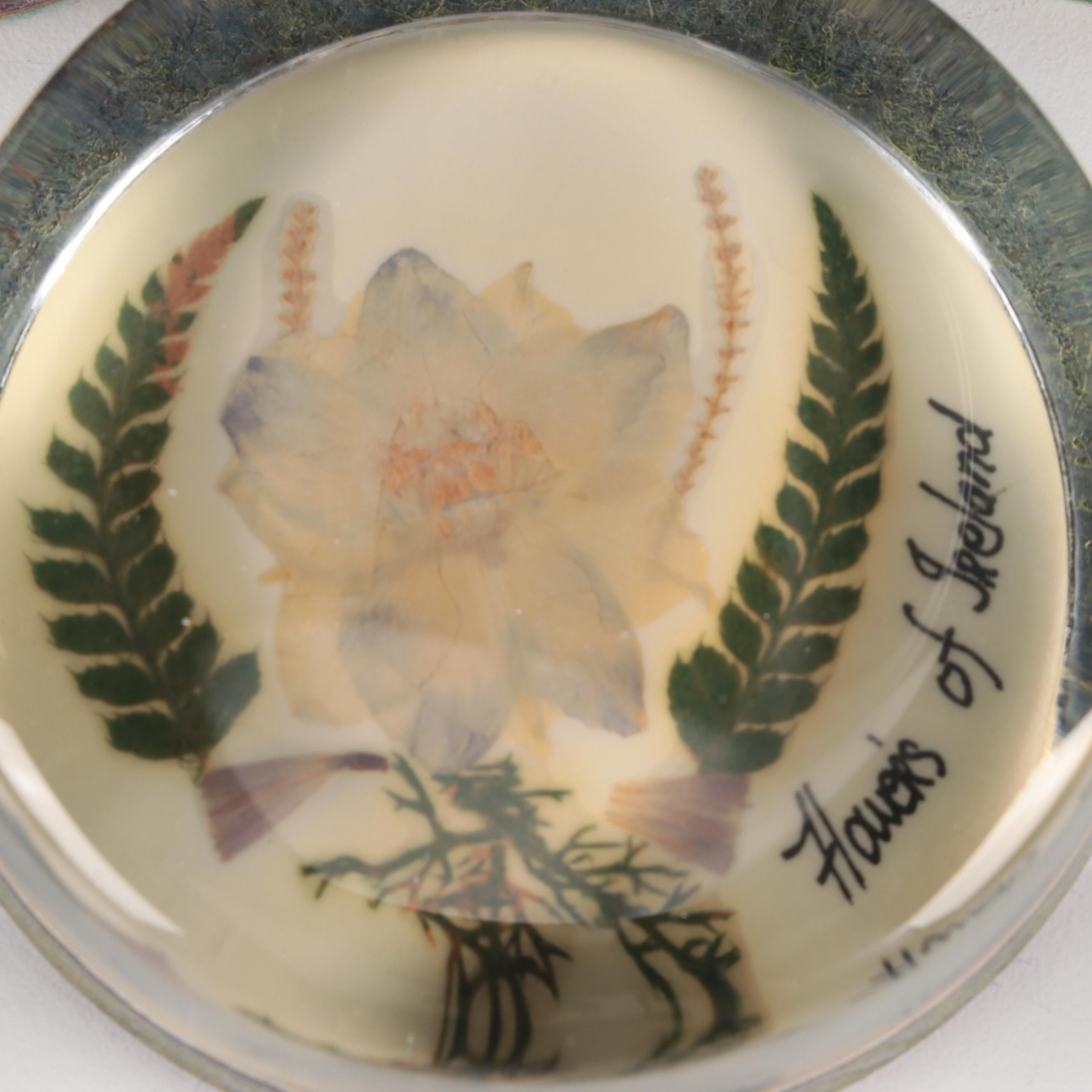 "Flowers of Ireland" and Other Pressed Flower Paperweights