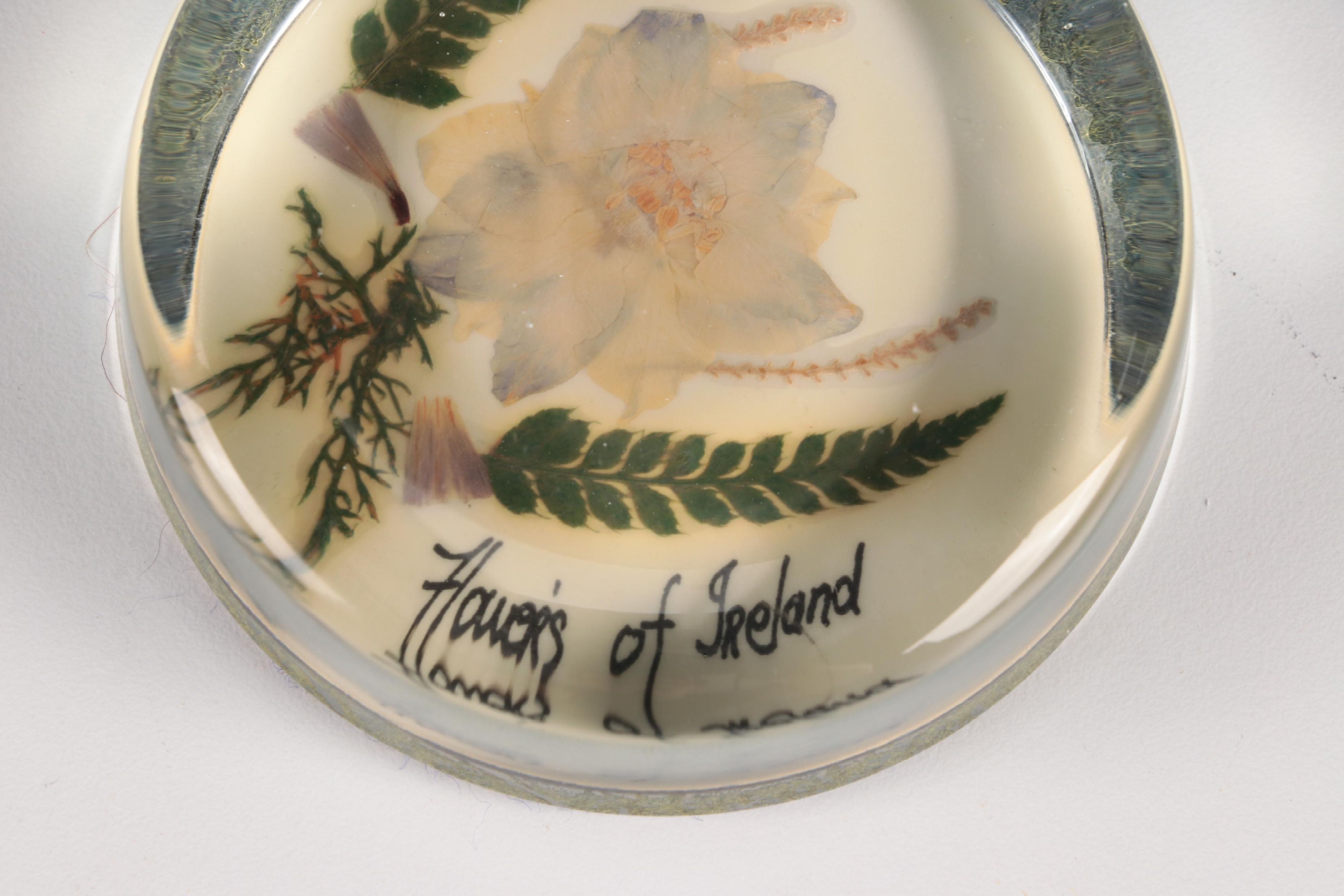 "Flowers of Ireland" and Other Pressed Flower Paperweights