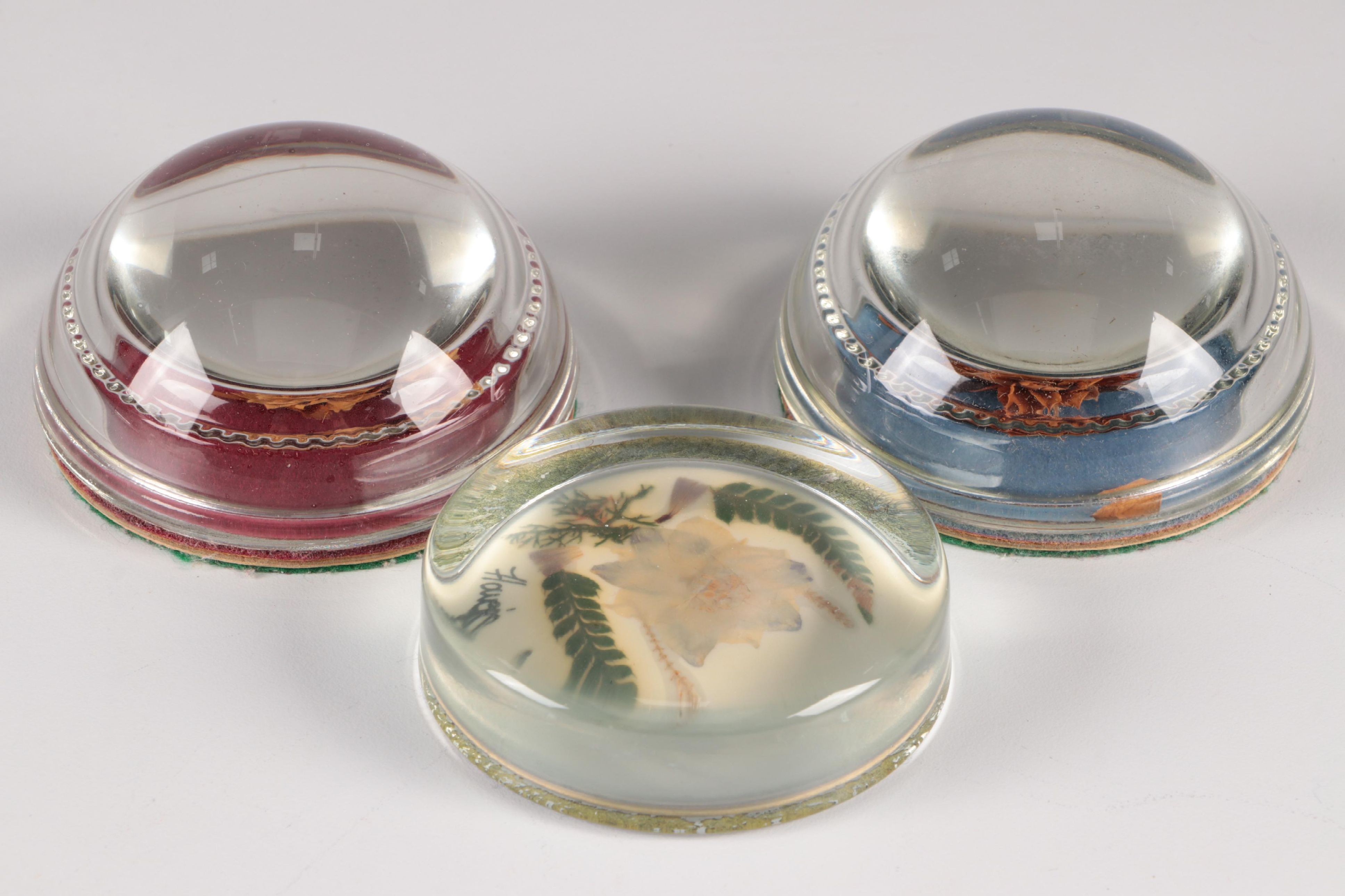 "Flowers of Ireland" and Other Pressed Flower Paperweights