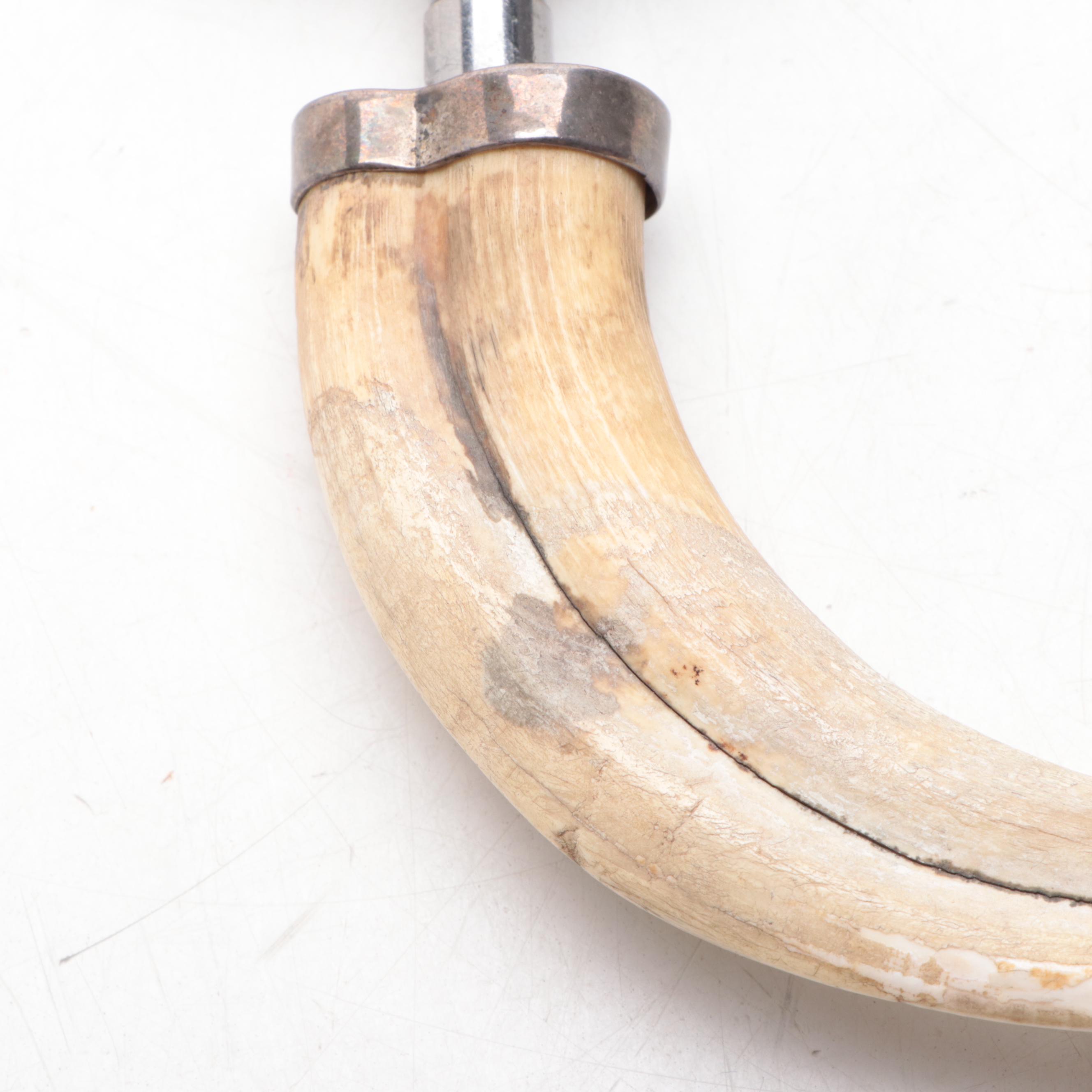 Boar Tusk and Stainless Steel Magnifying Glass and Letter Opener
