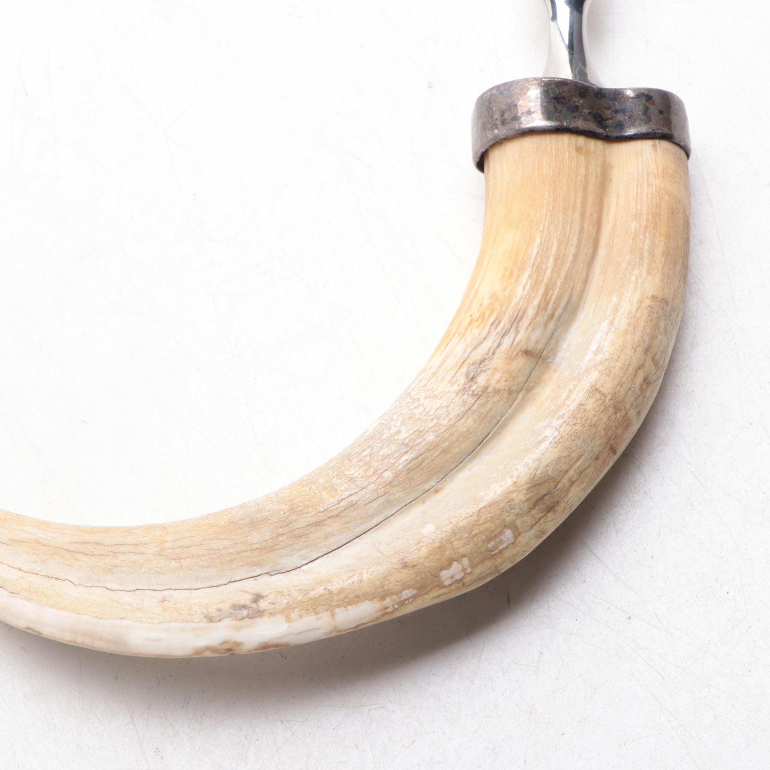 Boar Tusk and Stainless Steel Magnifying Glass and Letter Opener