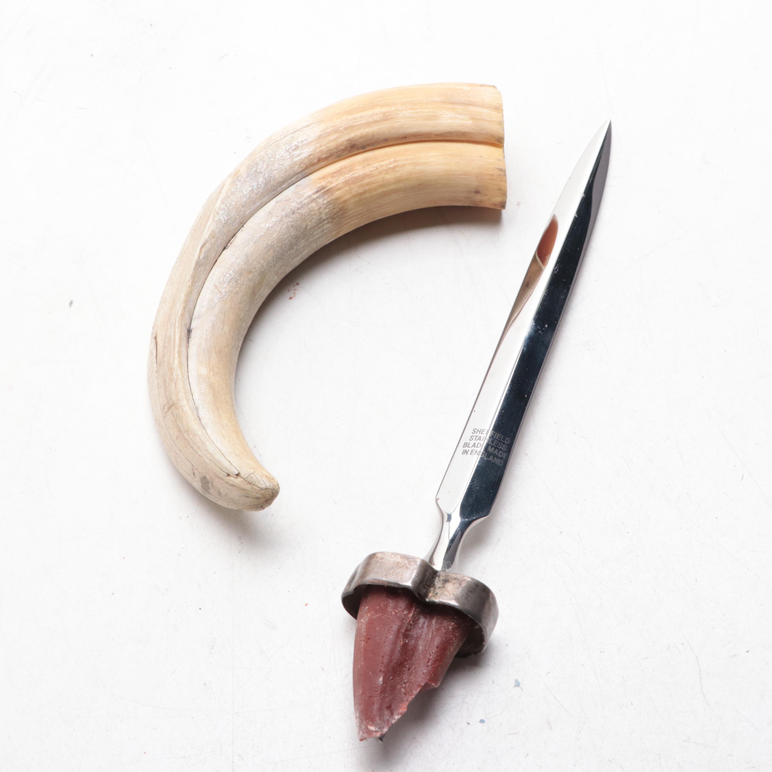 Boar Tusk and Stainless Steel Magnifying Glass and Letter Opener