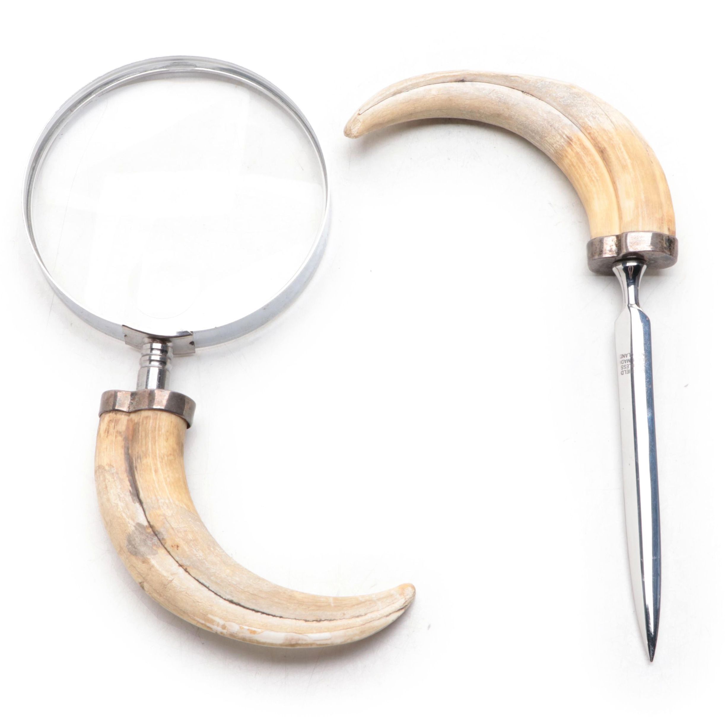 Boar Tusk and Stainless Steel Magnifying Glass and Letter Opener
