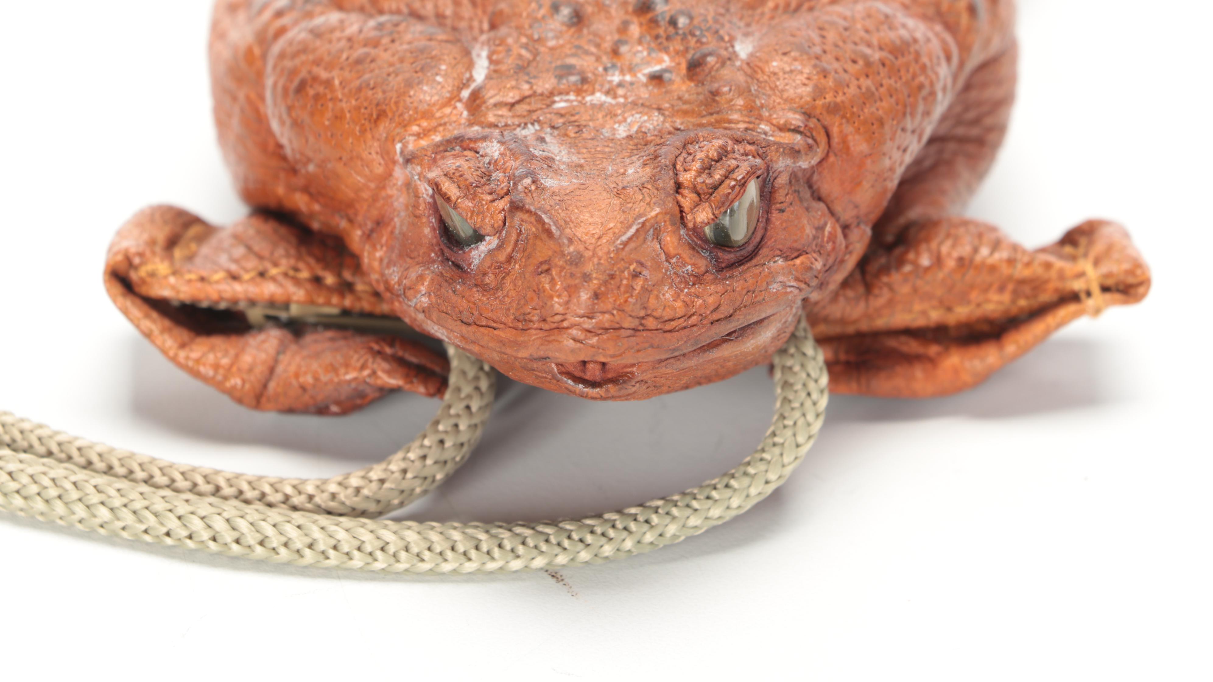 Taxidermy Sugar Cane Toad Coin Purse