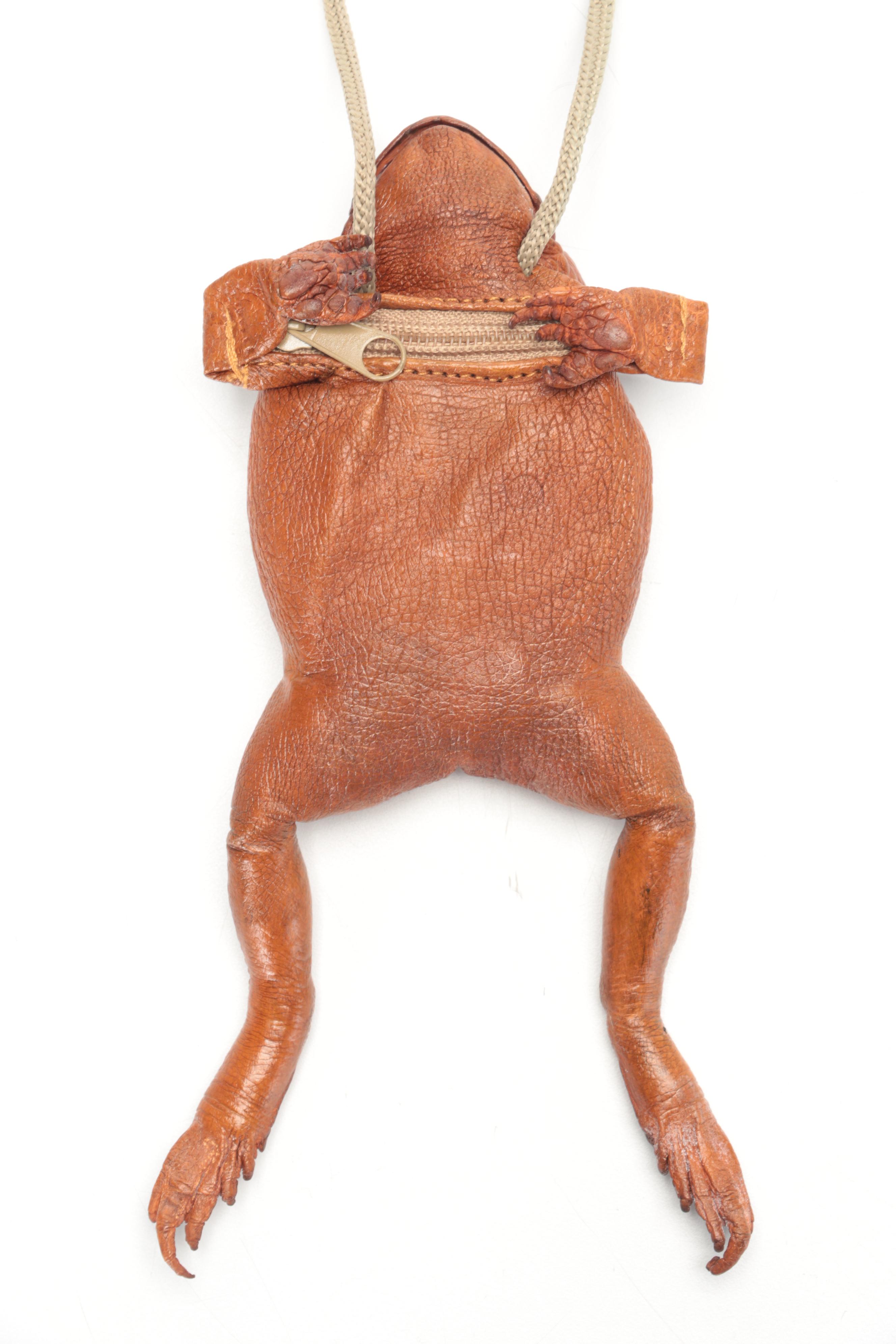 Taxidermy Sugar Cane Toad Coin Purse