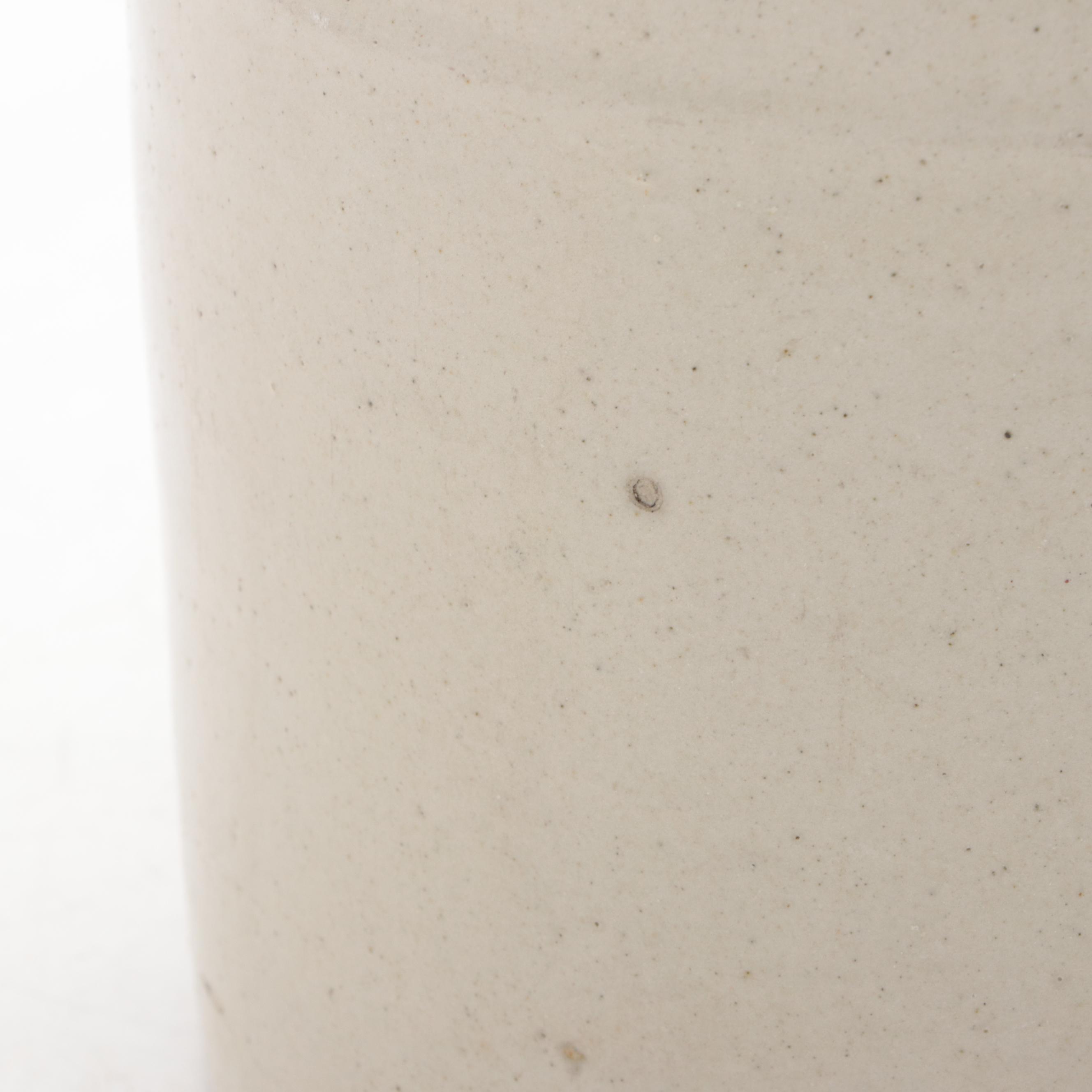 William Radam Microbe Killer Stoneware Jugs with Radam Books, Late 19th Century