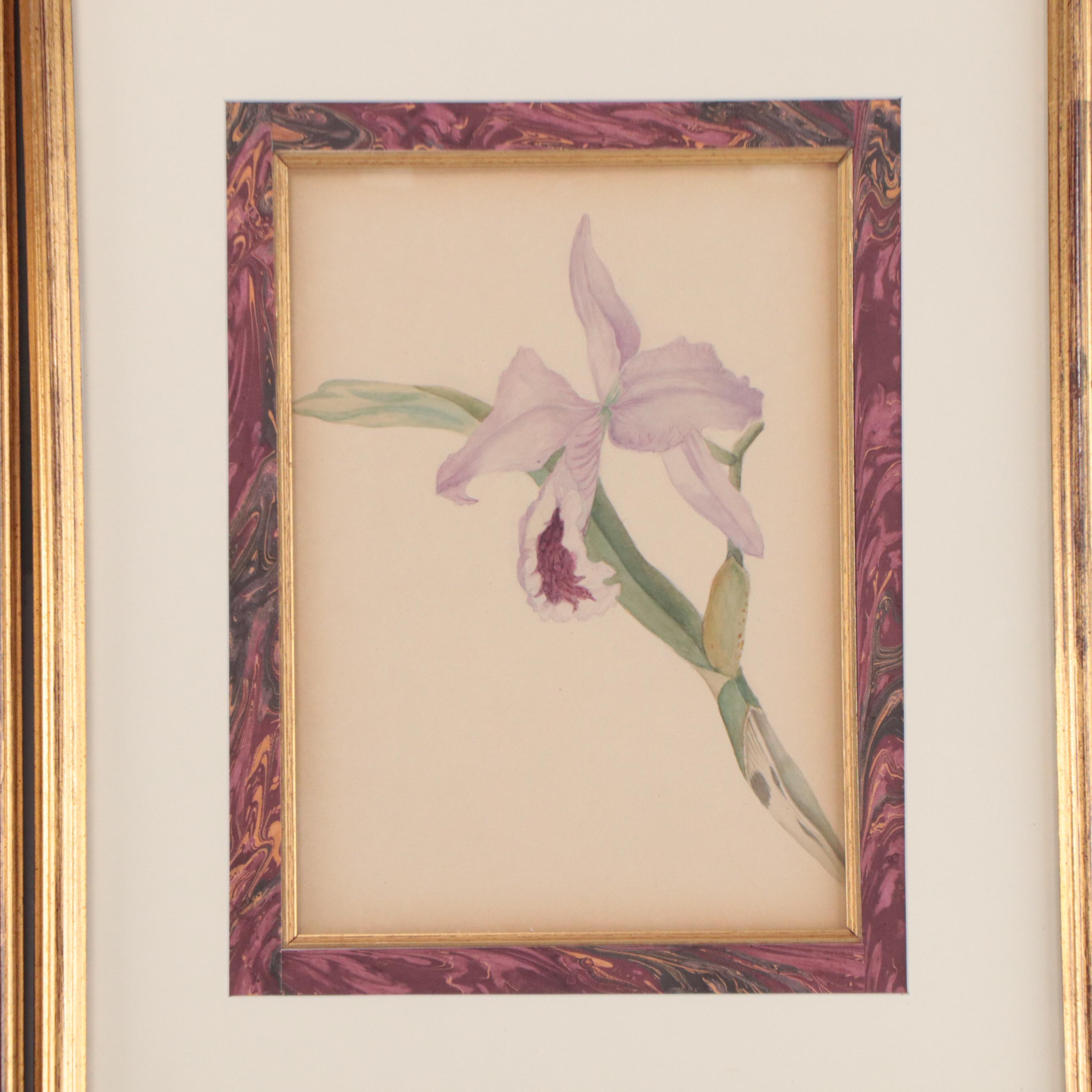 Set of Botanical Watercolor Paintings