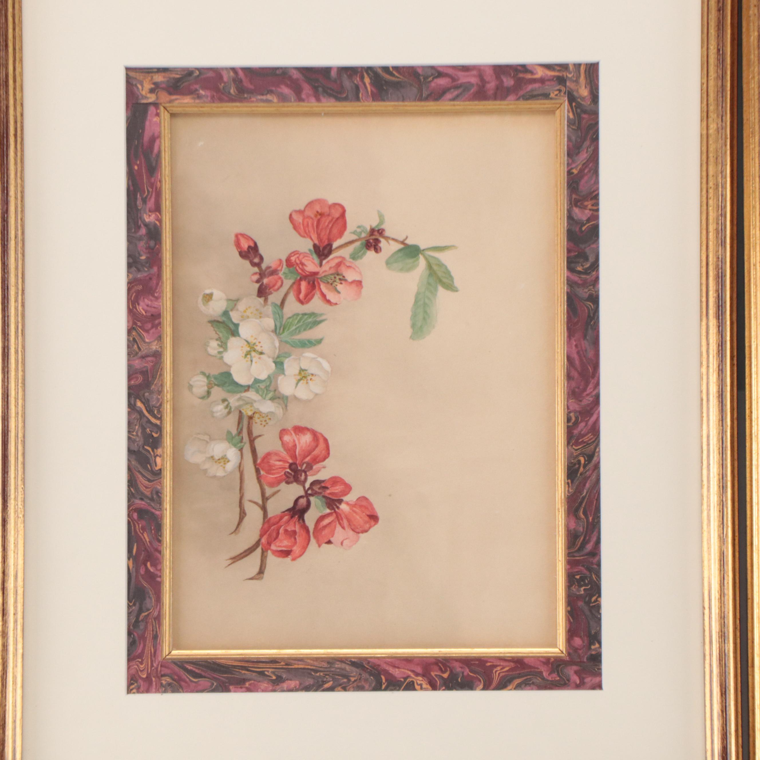 Set of Botanical Watercolor Paintings