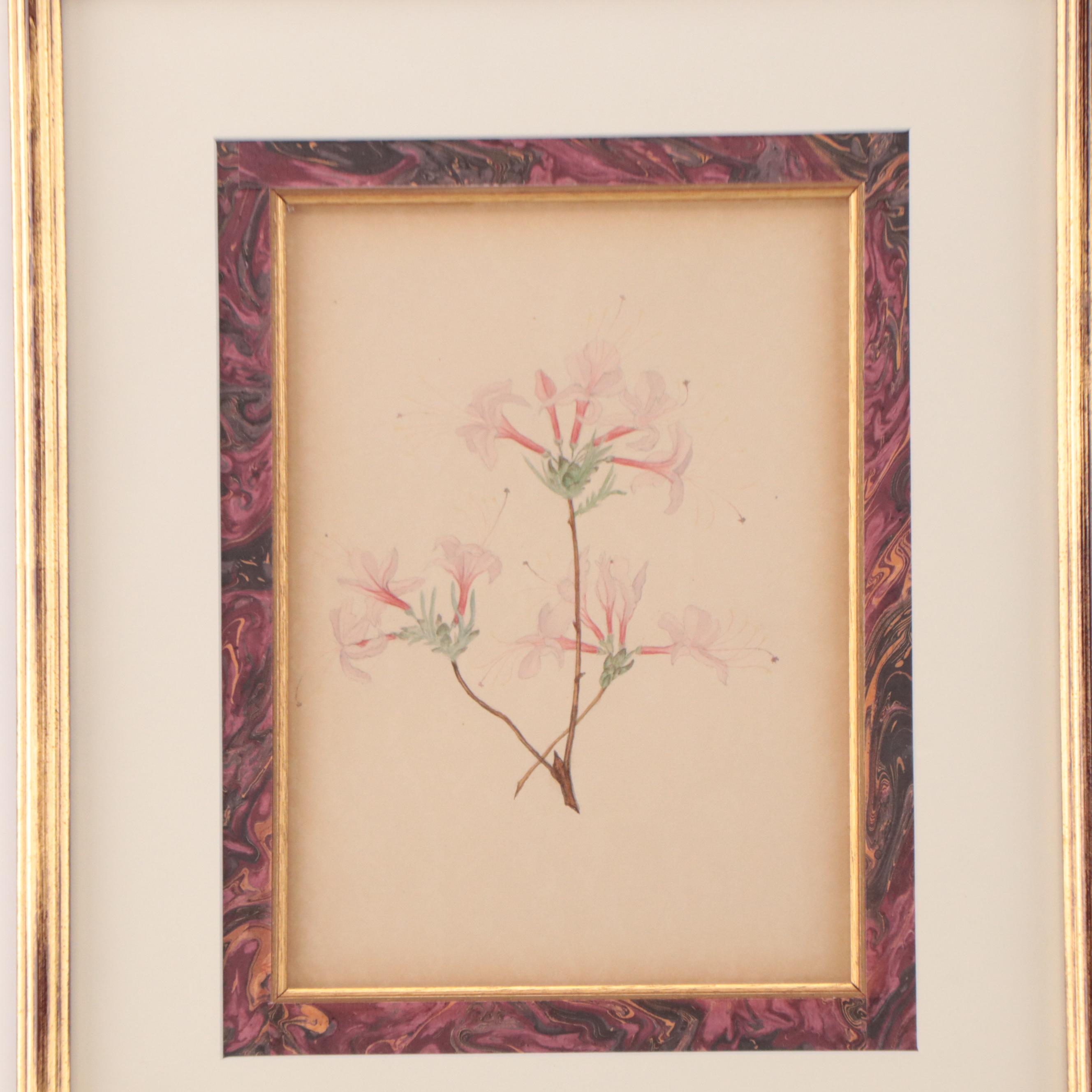 Set of Botanical Watercolor Paintings