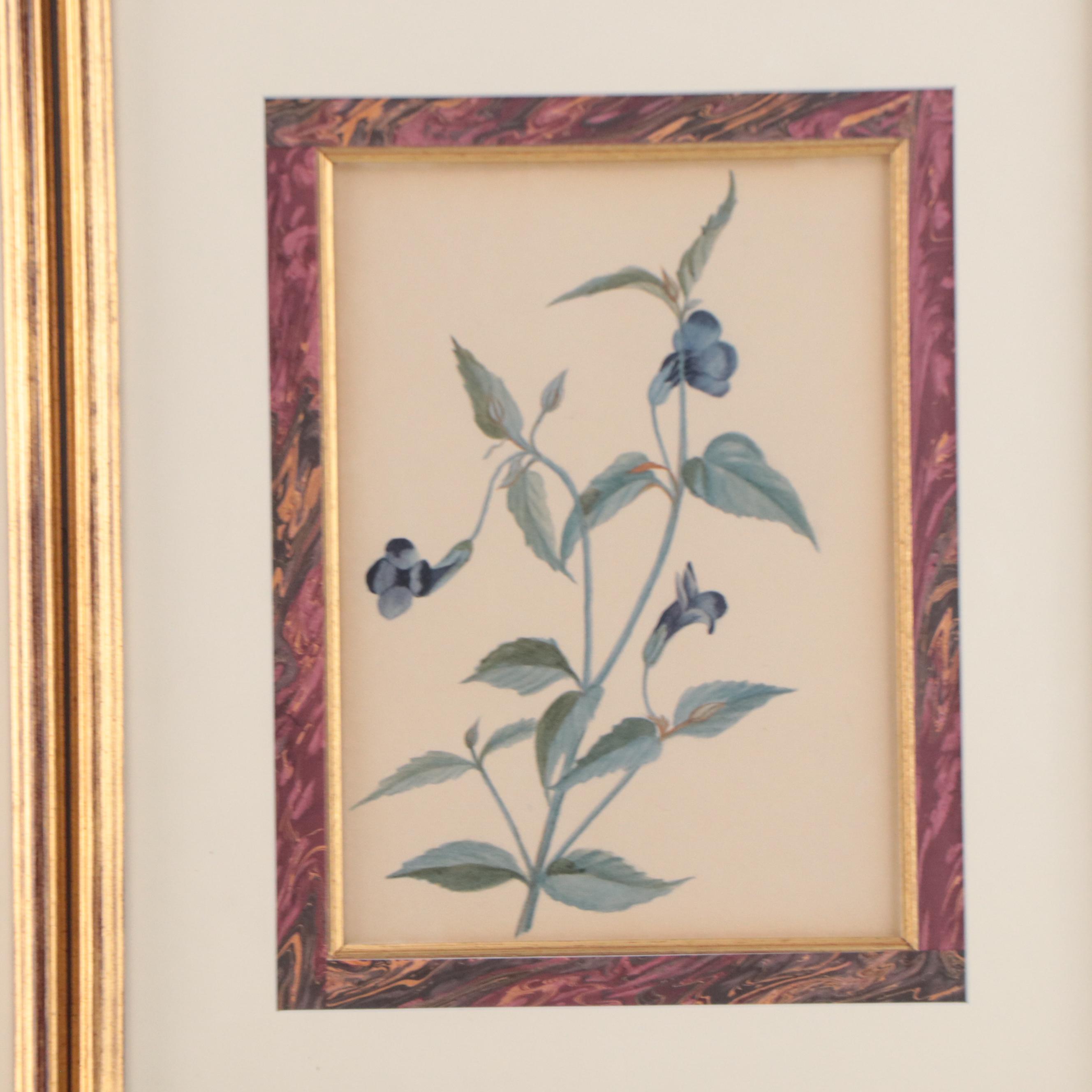 Set of Botanical Watercolor Paintings