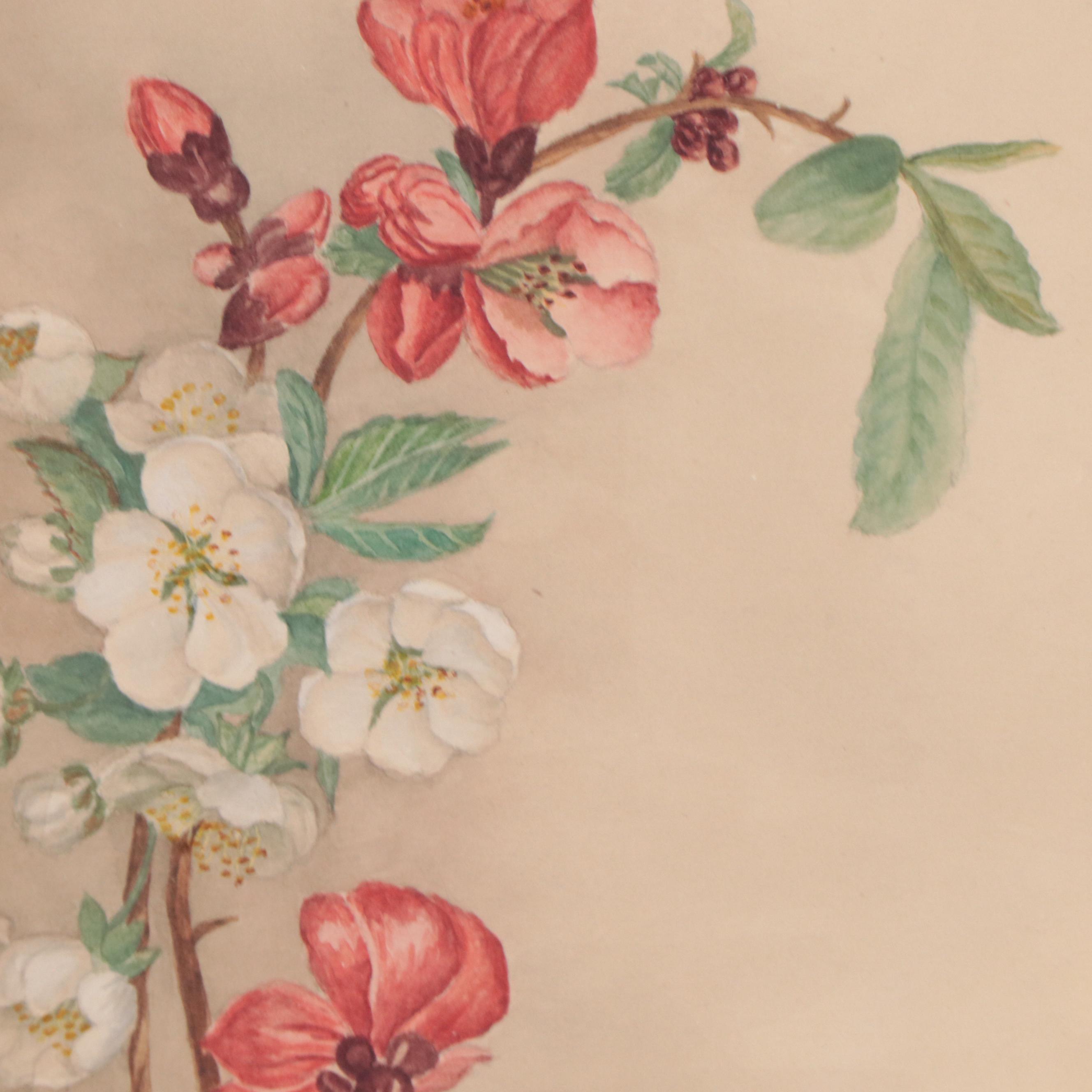 Set of Botanical Watercolor Paintings