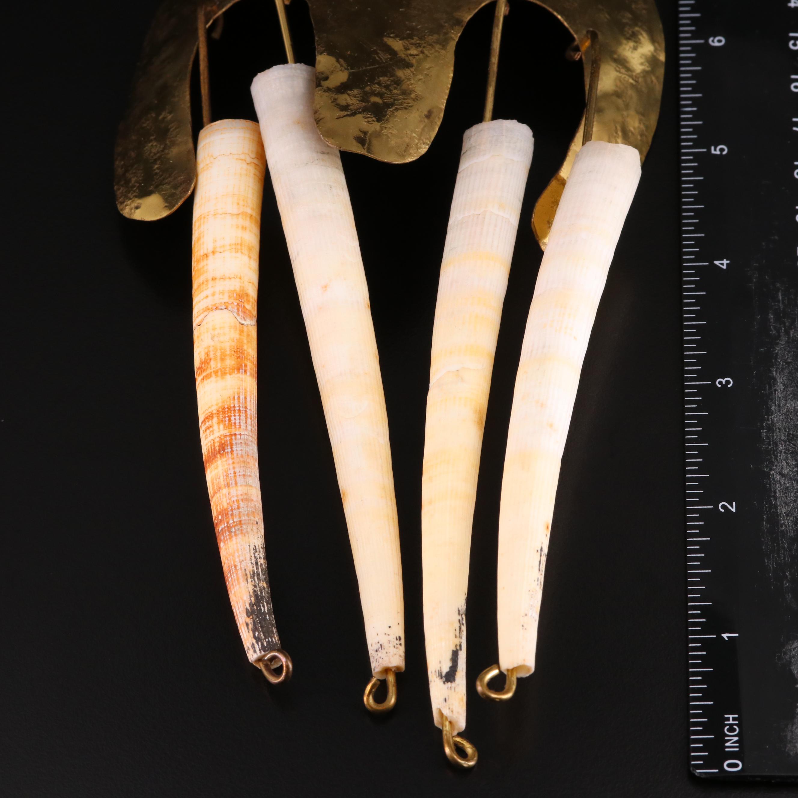 Handmade Tusk Shell and Brass Necklace