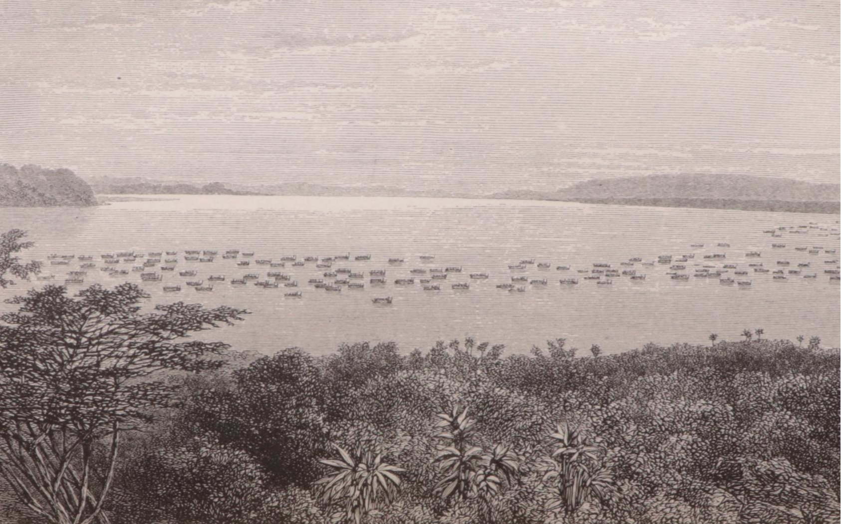 Illustrated "Through the Dark Continent" Two-Volume Set by Henry Stanley, 1879