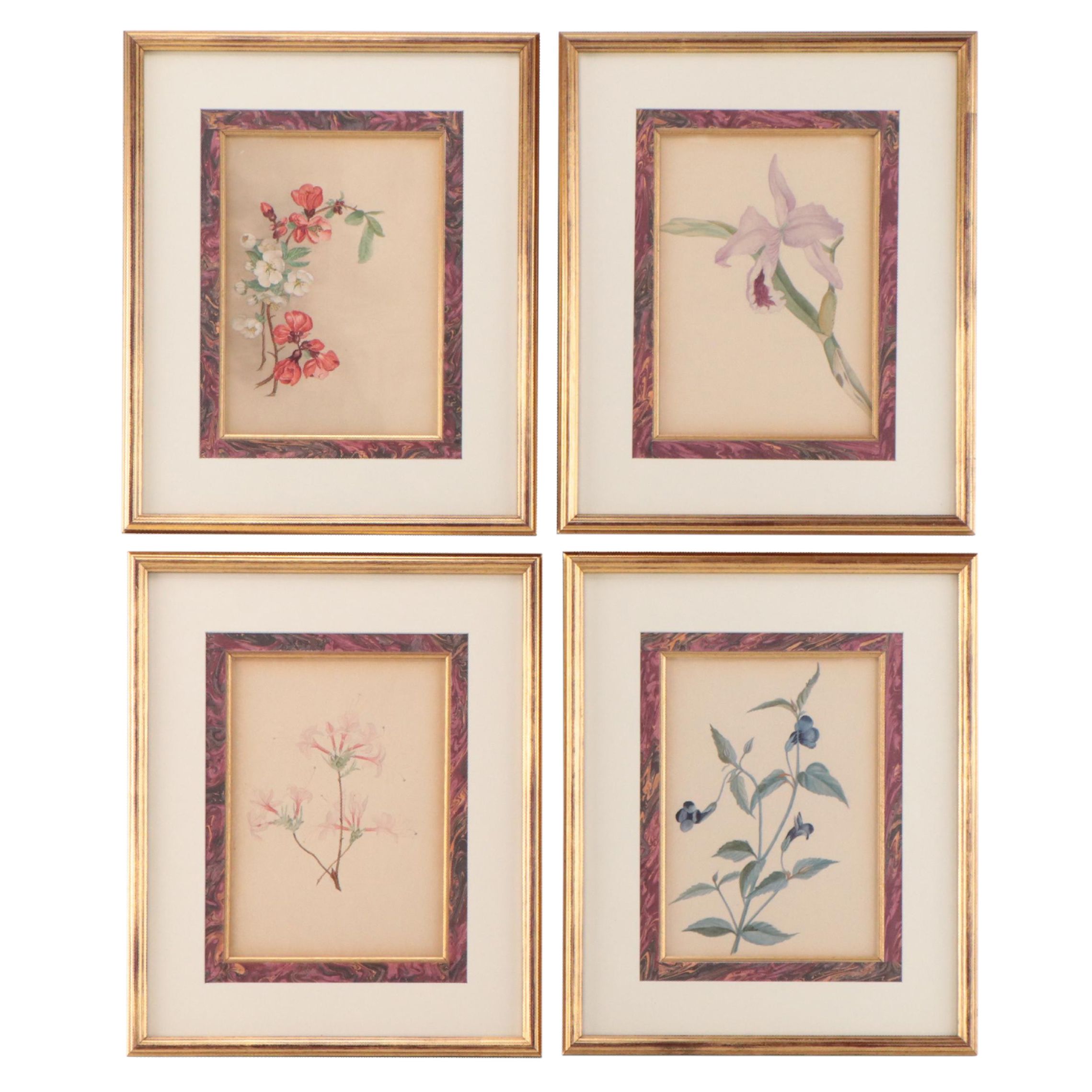 Set of Botanical Watercolor Paintings