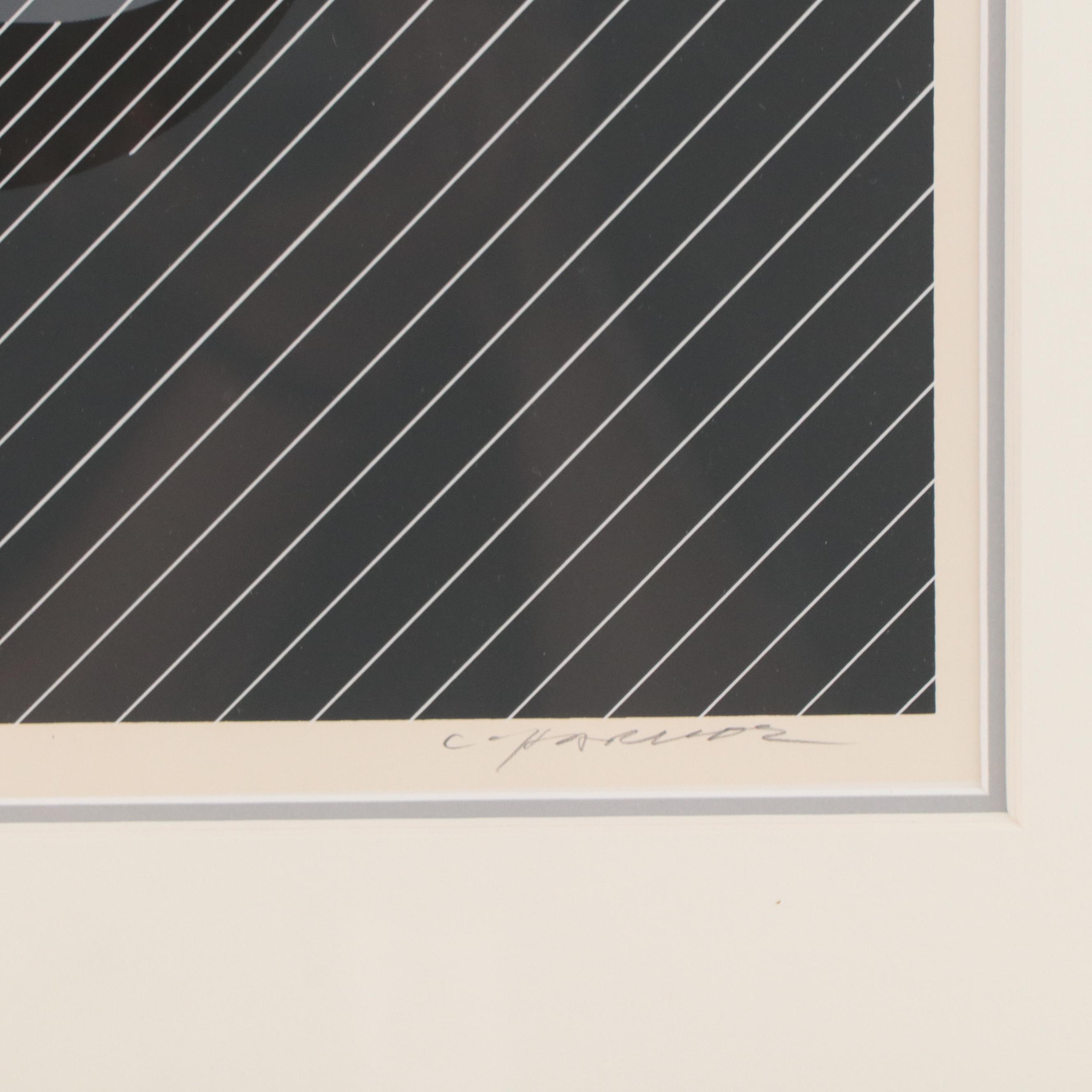 Charley Harper Serigraph "Pelican in a Downpour"