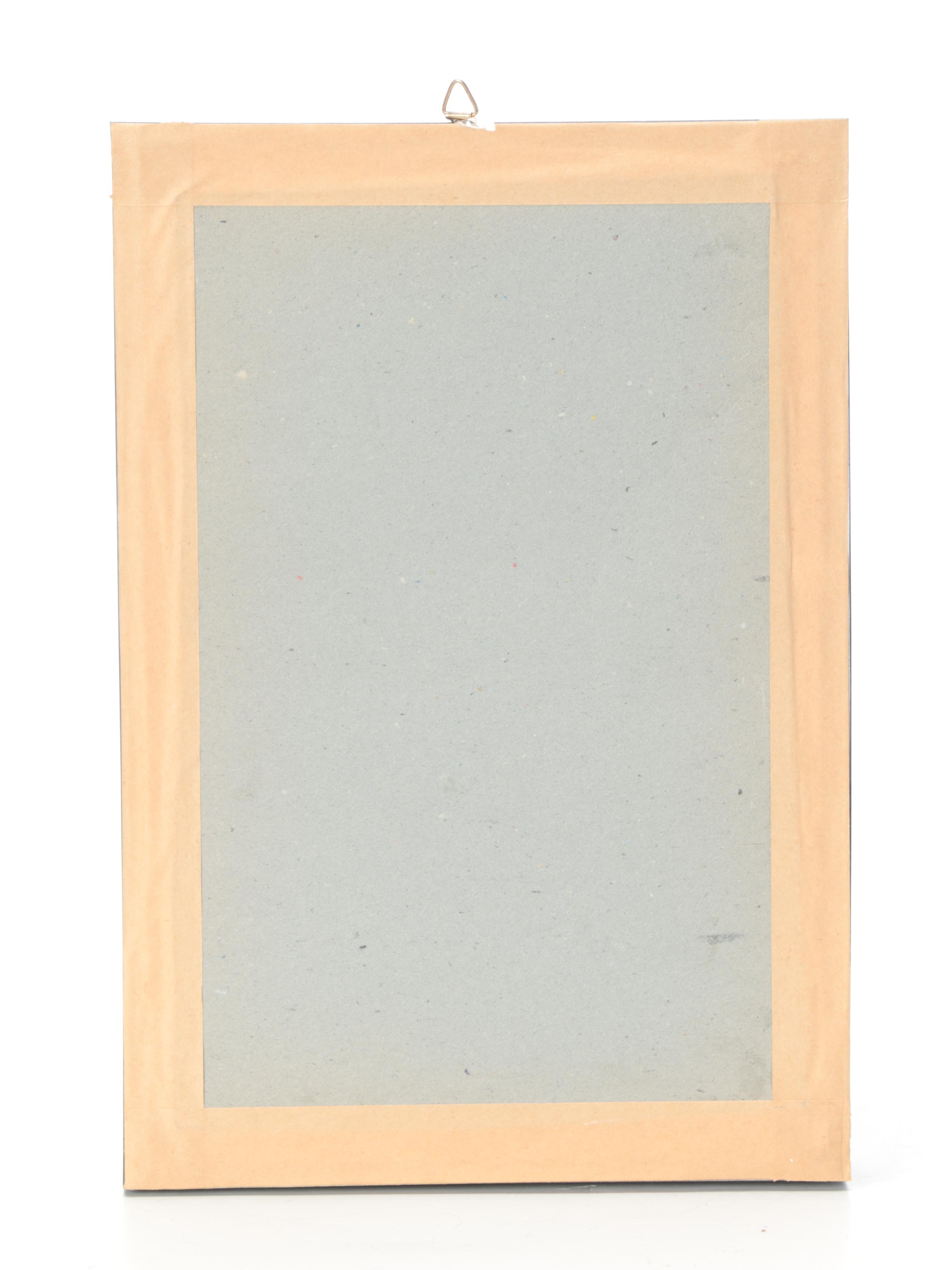 Taxidermy Flying Lizard Specimen in Case