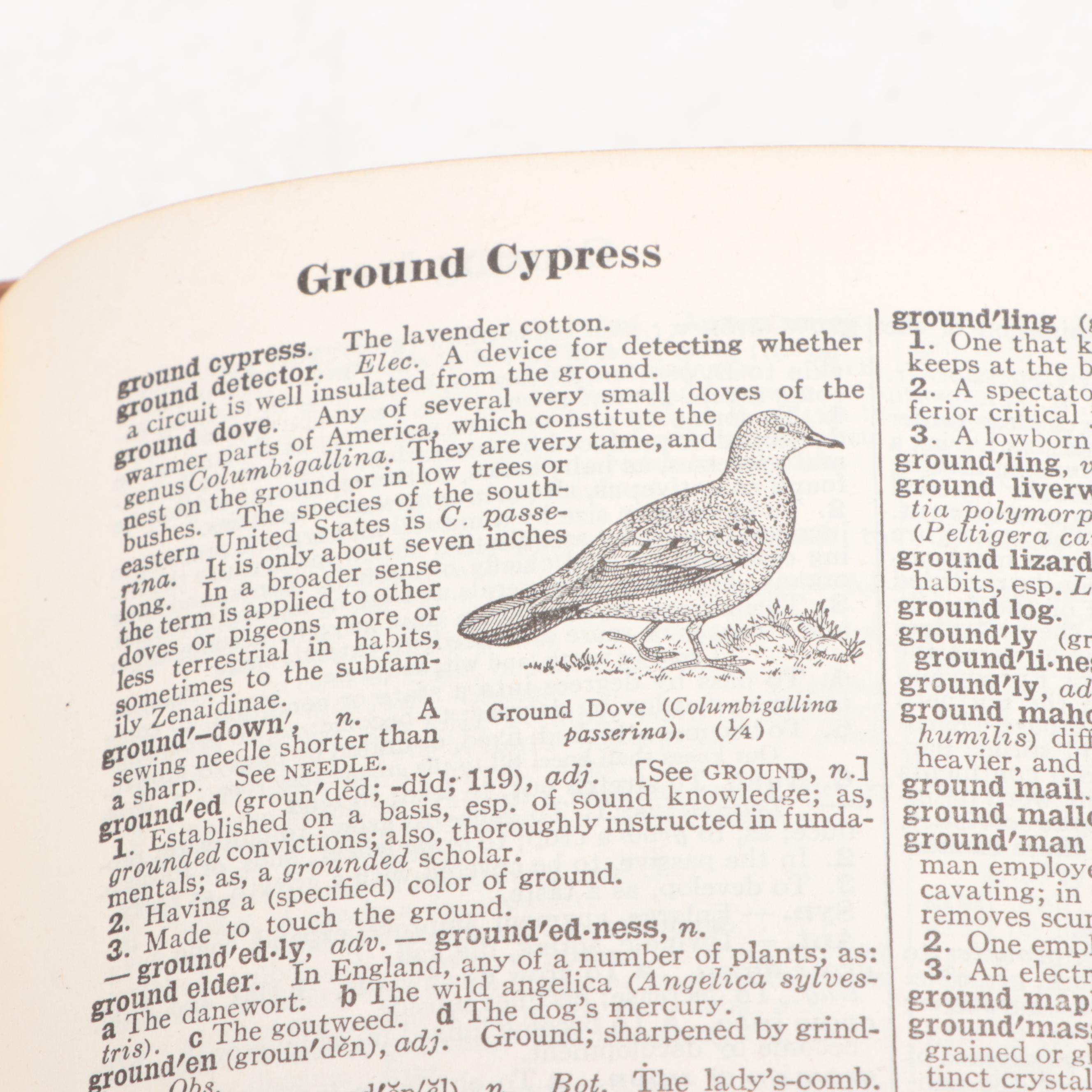 Second Edition "Webster's New International Dictionary of the English Language"