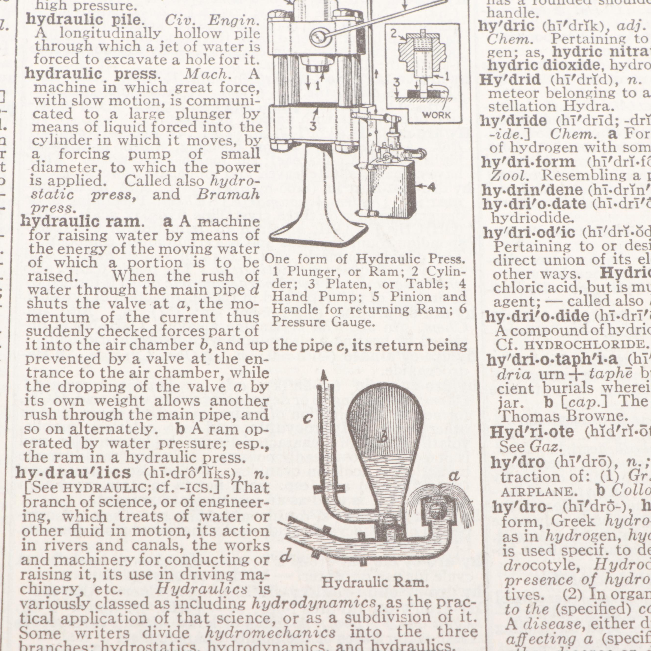 Second Edition "Webster's New International Dictionary of the English Language"