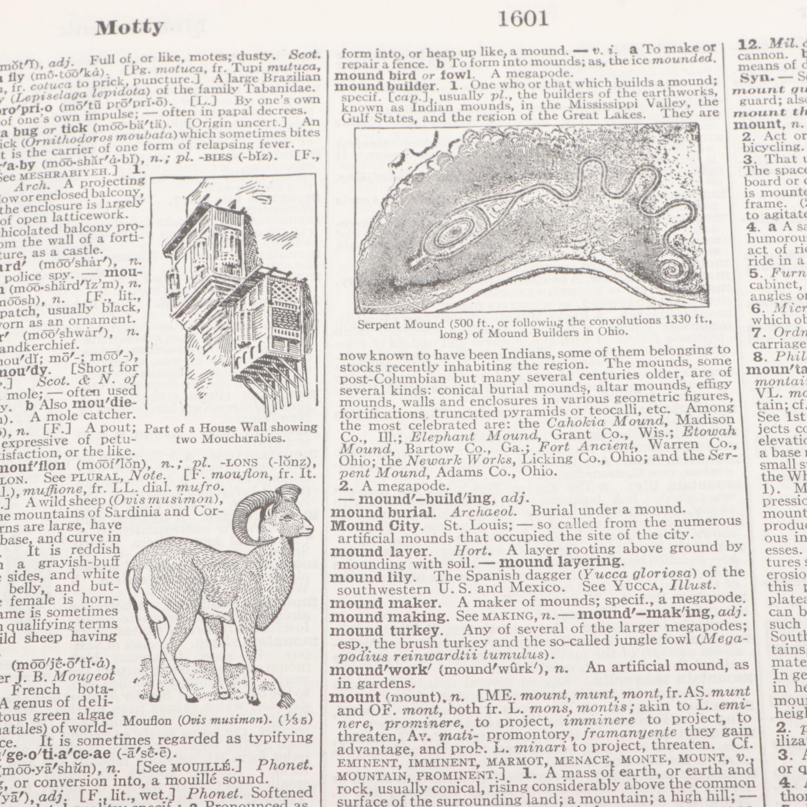 Second Edition "Webster's New International Dictionary of the English Language"