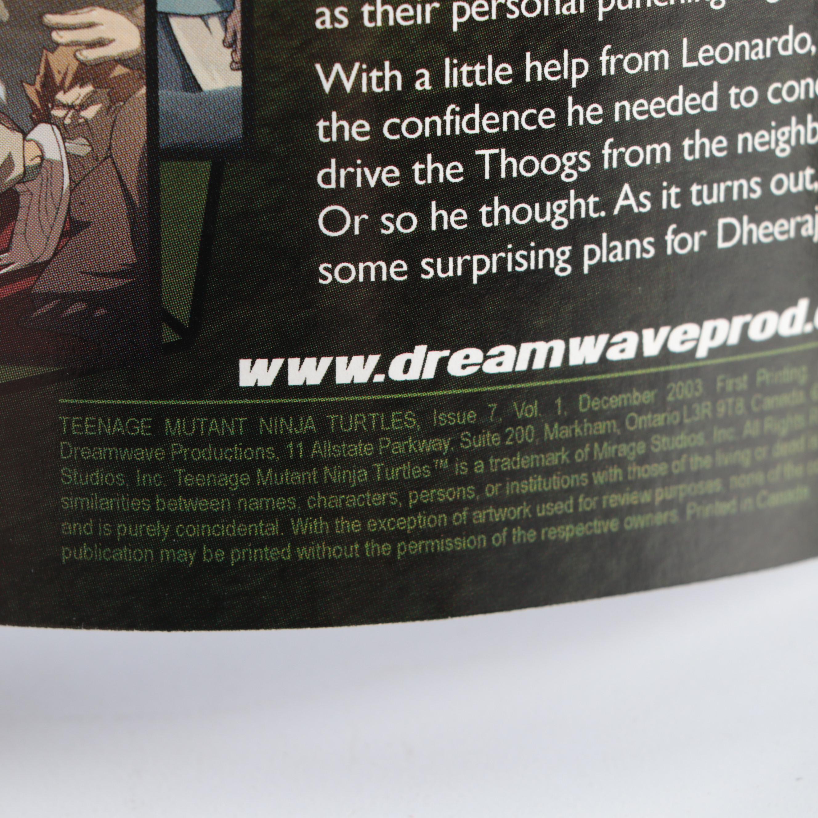 Modern Age "Teenage Mutant Ninja Turtles", "KISS 4K", and More Comic Books