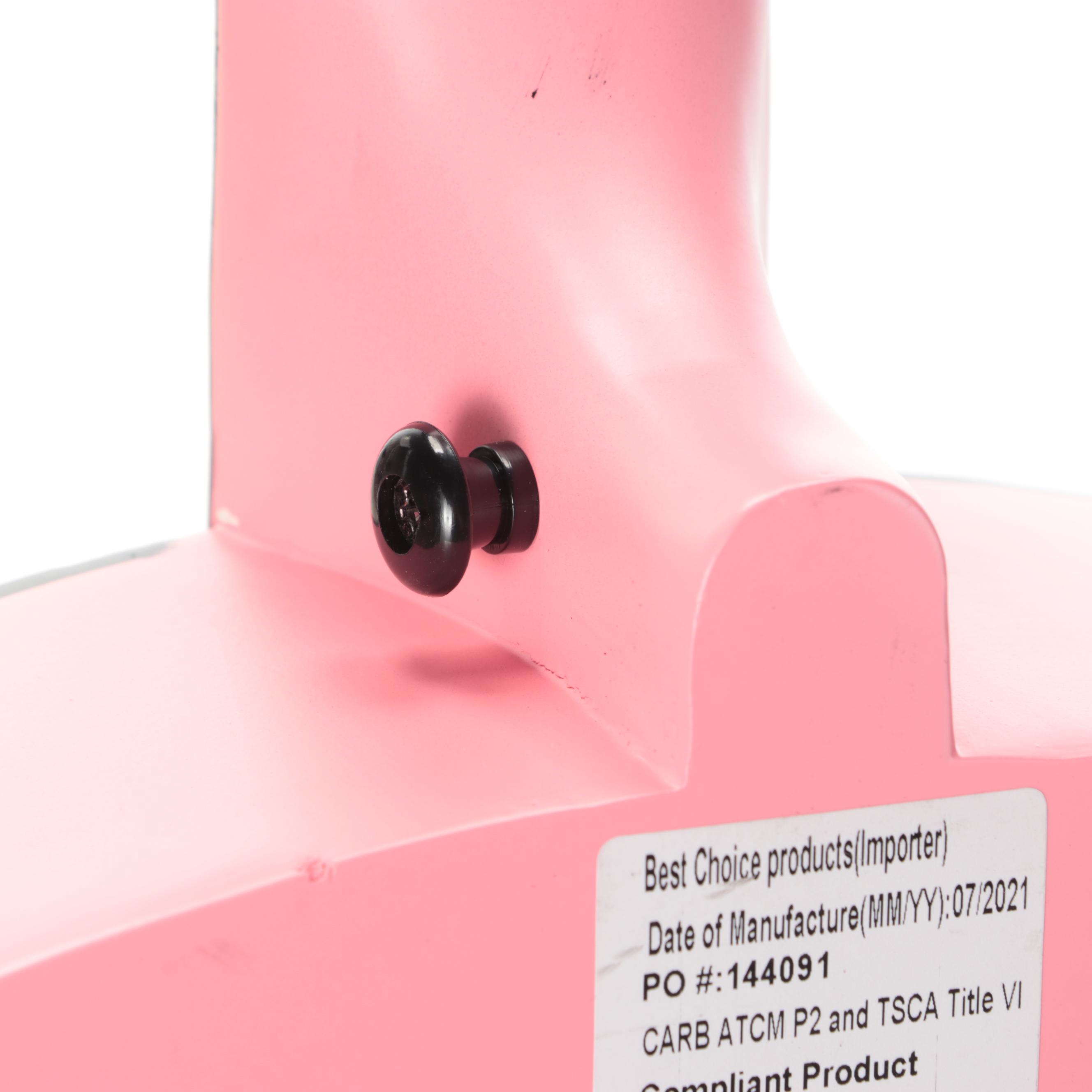 Taylor Swift Decal-Signed BCP Guitar