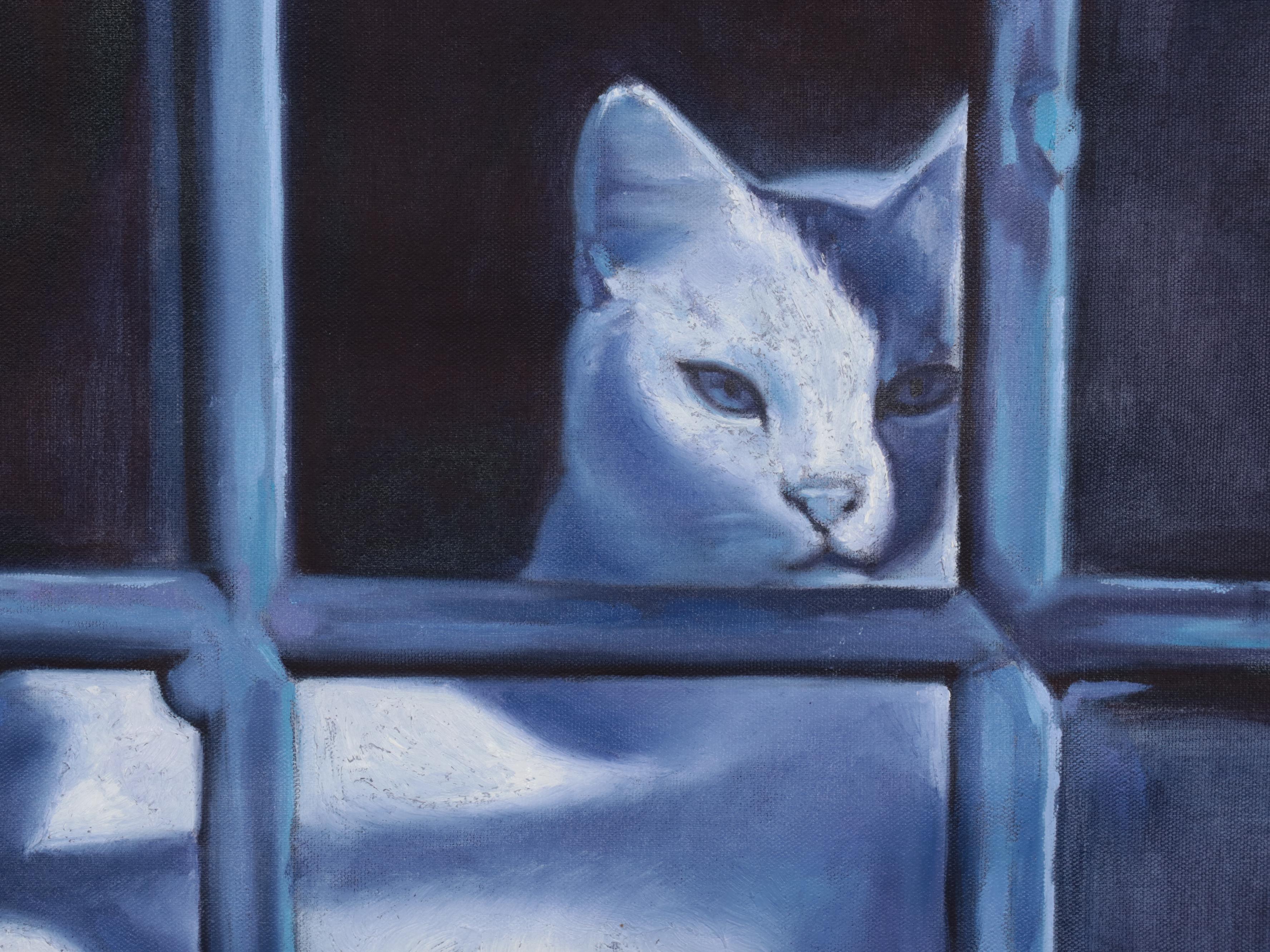 Osmel Almora Miró Oil Painting "White Cat at Night," 2023