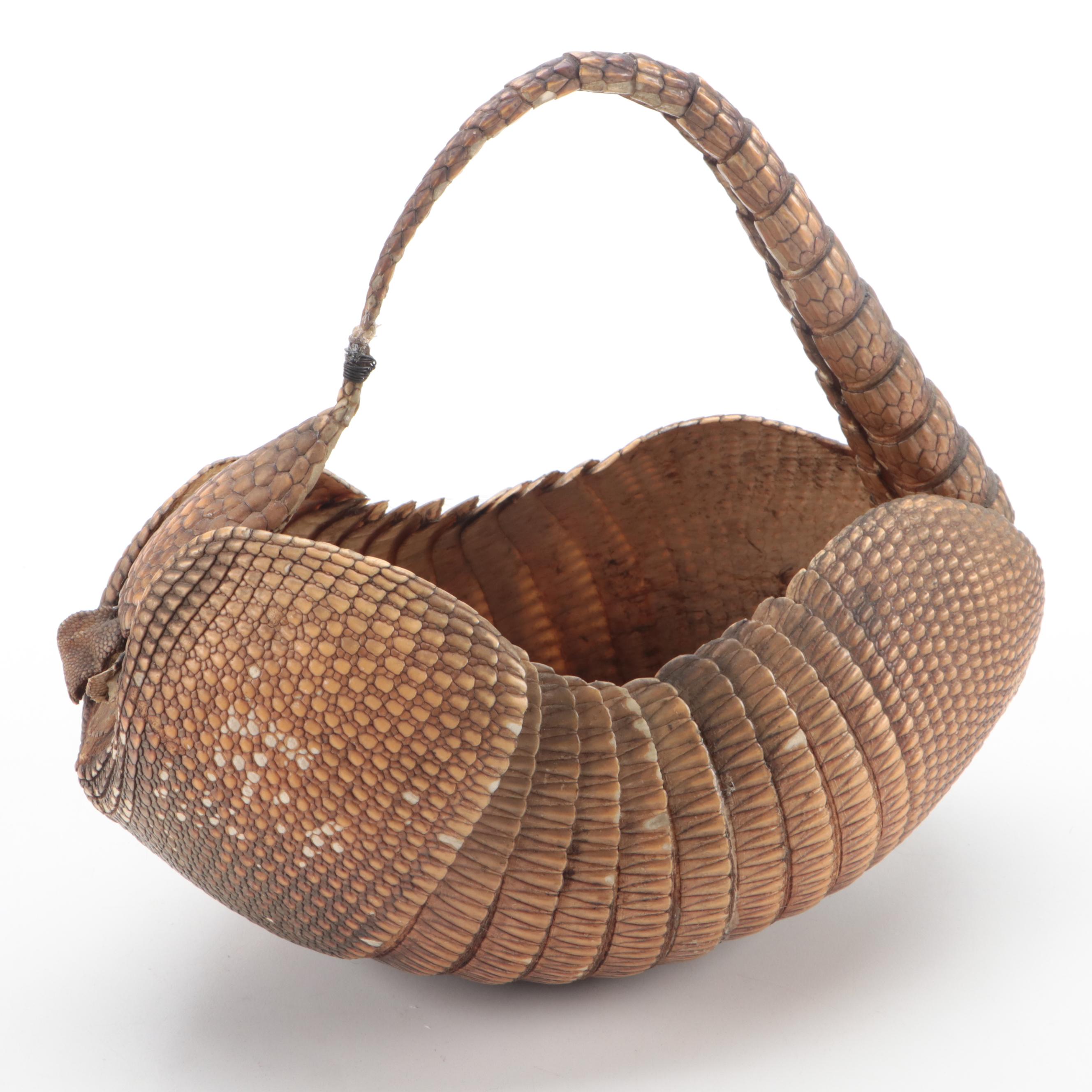Taxidermy Nine-Banded Armadillo Basket