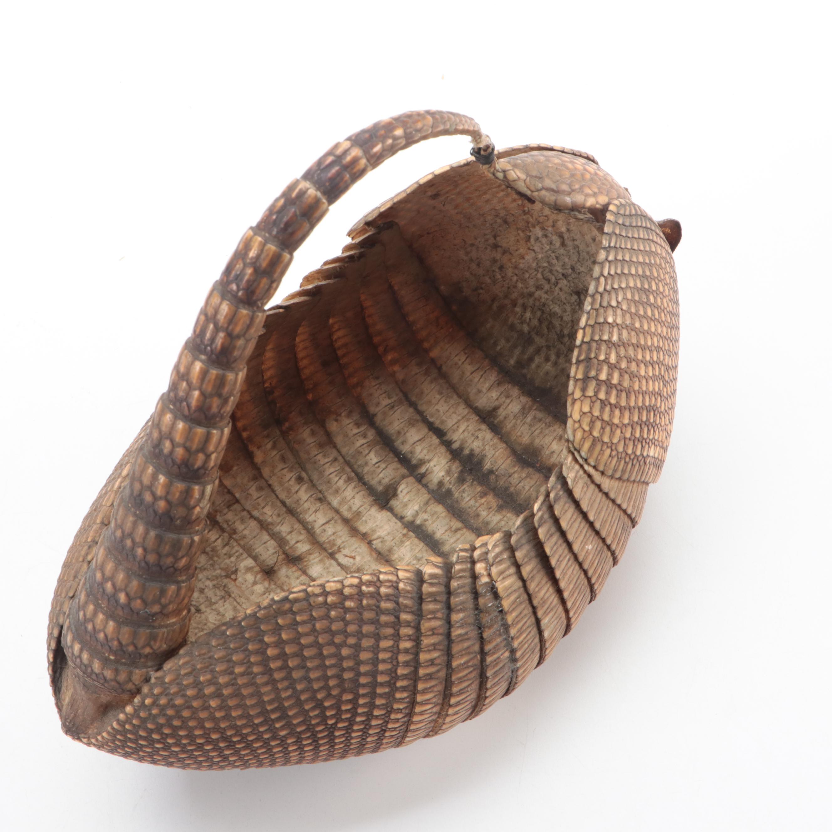 Taxidermy Nine-Banded Armadillo Basket