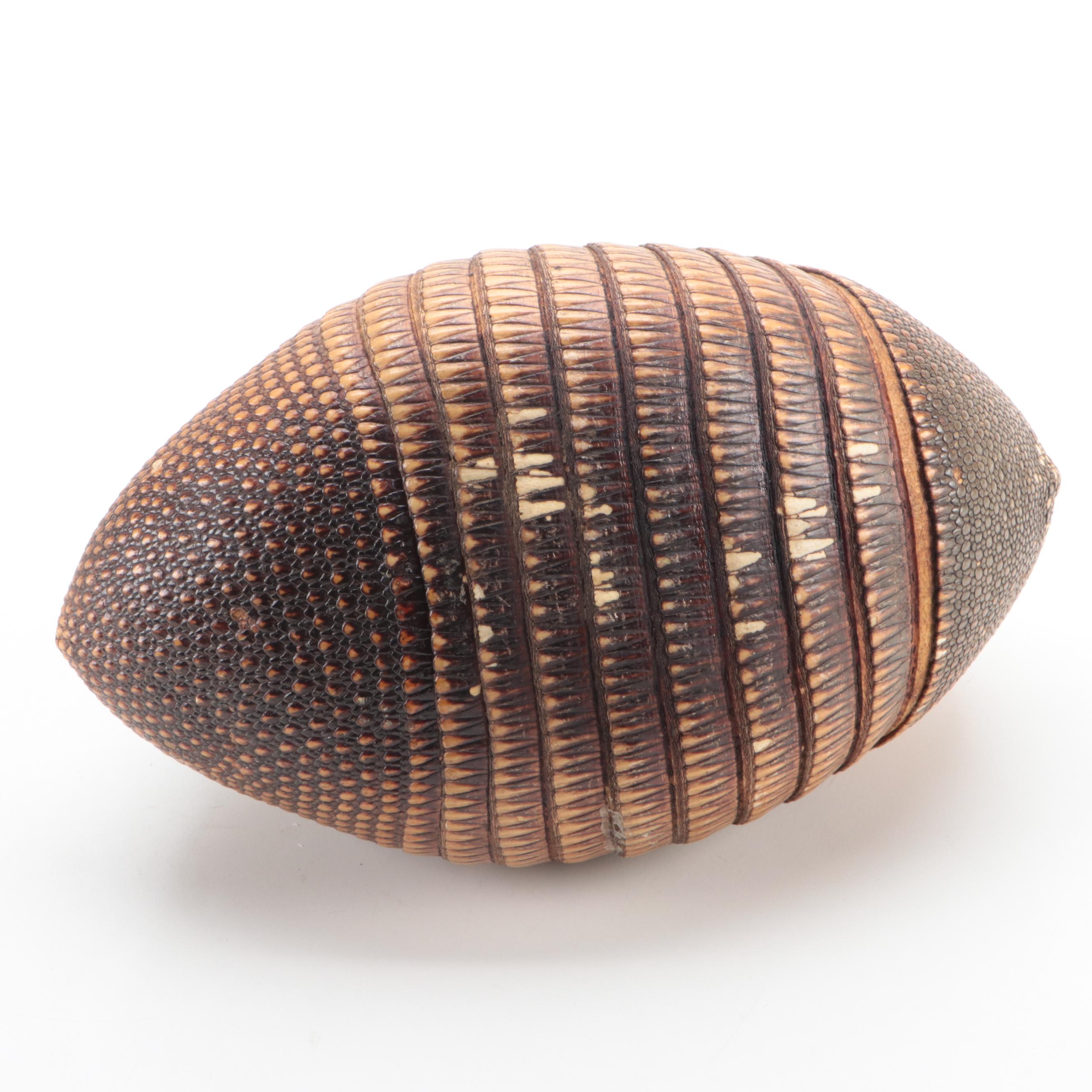 Taxidermy Nine-Banded Armadillo Basket