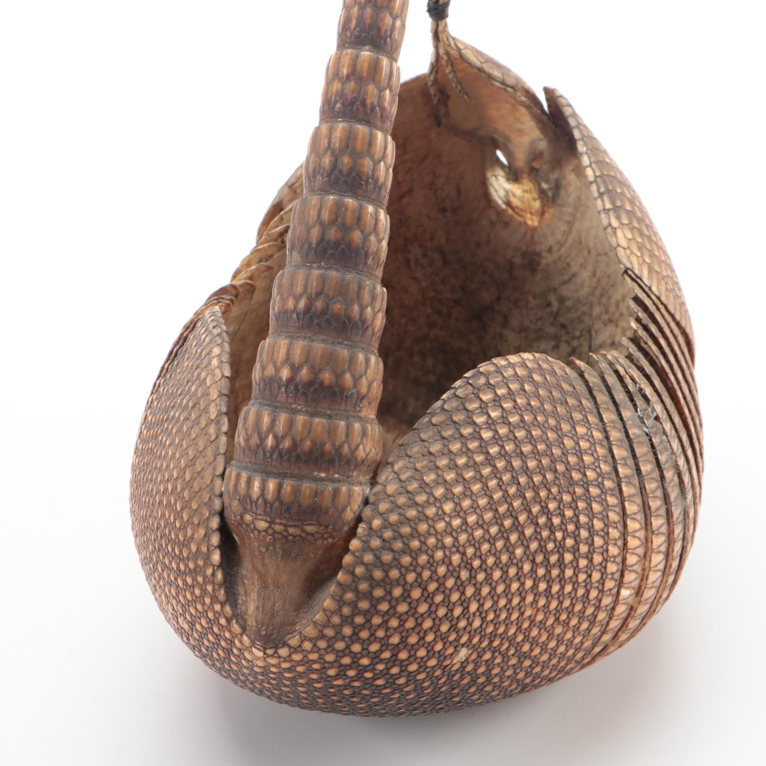 Taxidermy Nine-Banded Armadillo Basket