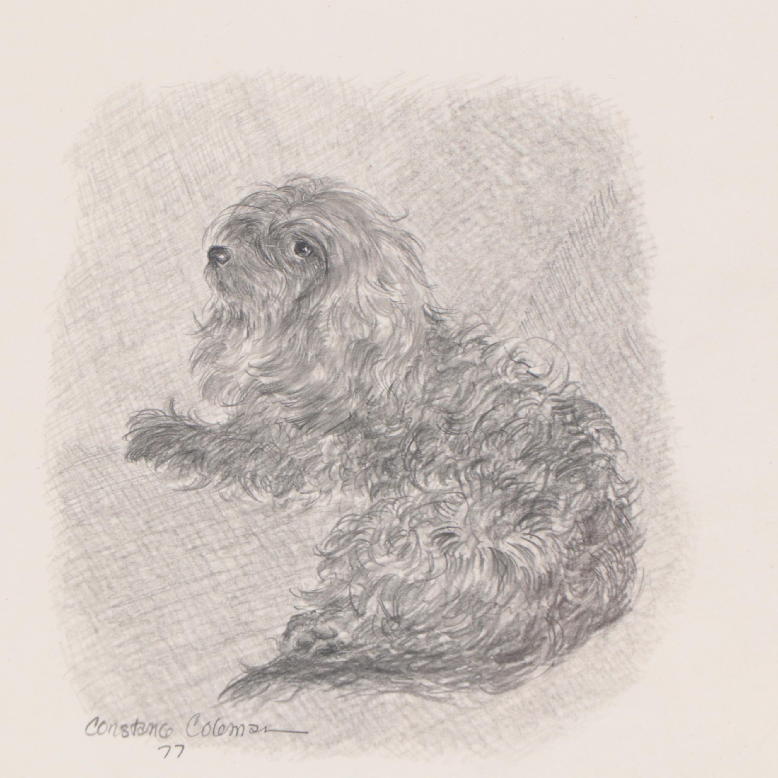 Constance Coleman Graphite Drawings of Dogs, 1977