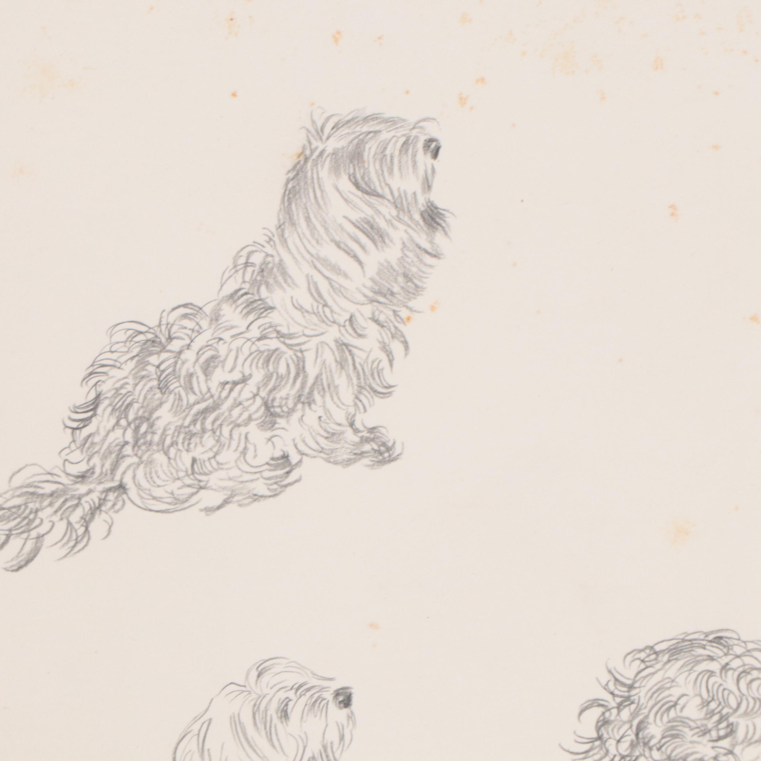 Constance Coleman Graphite Drawings of Dogs, 1977