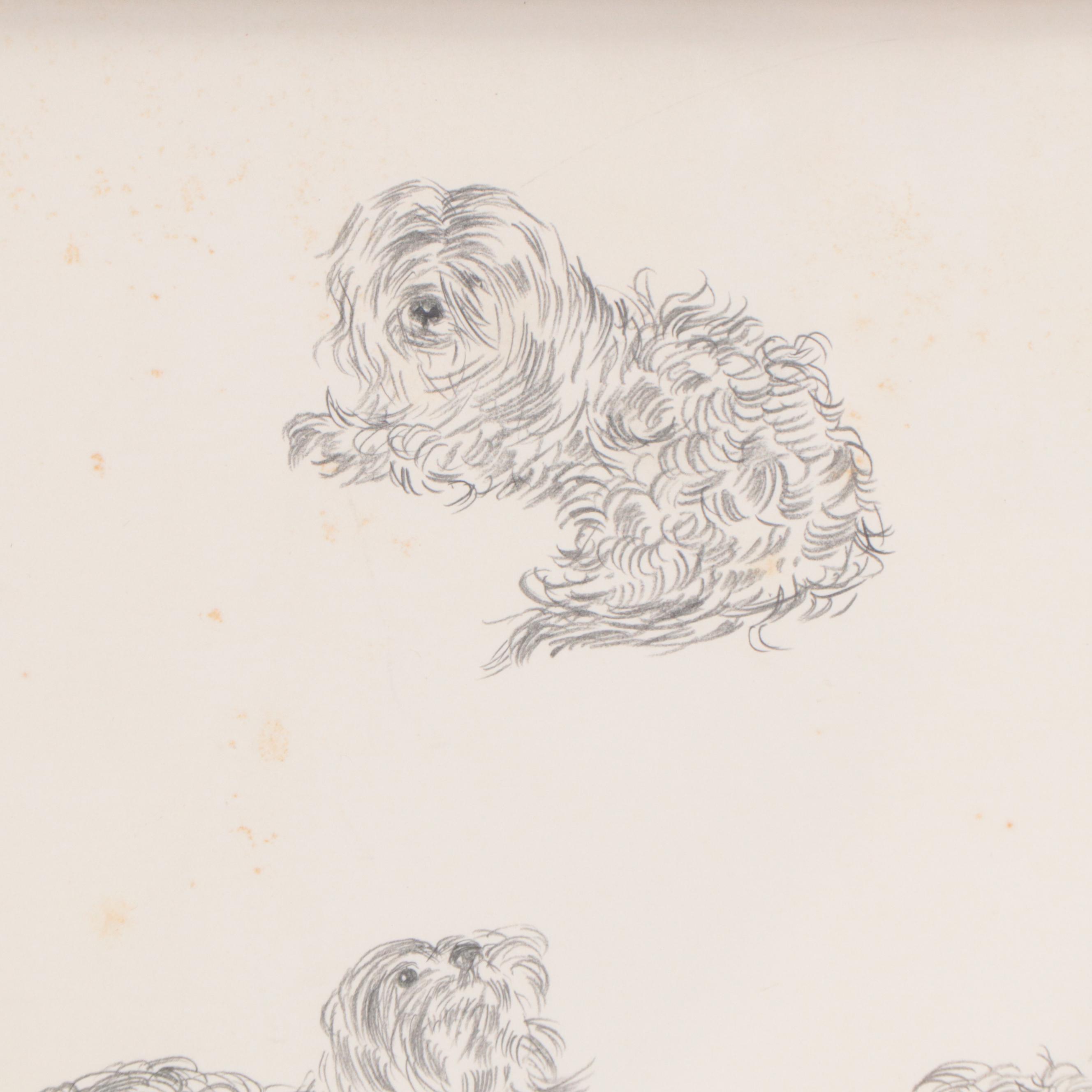 Constance Coleman Graphite Drawings of Dogs, 1977