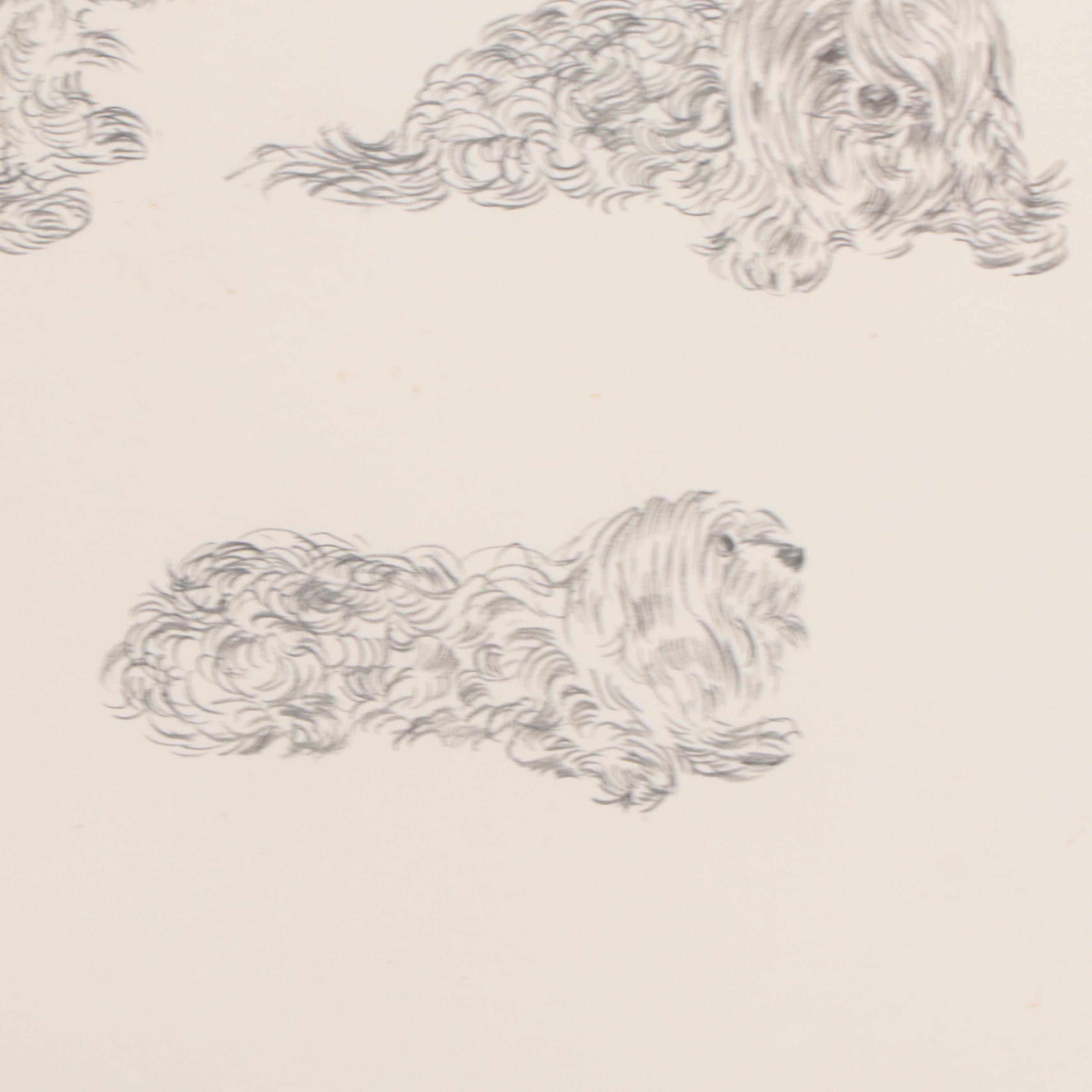 Constance Coleman Graphite Drawings of Dogs, 1977