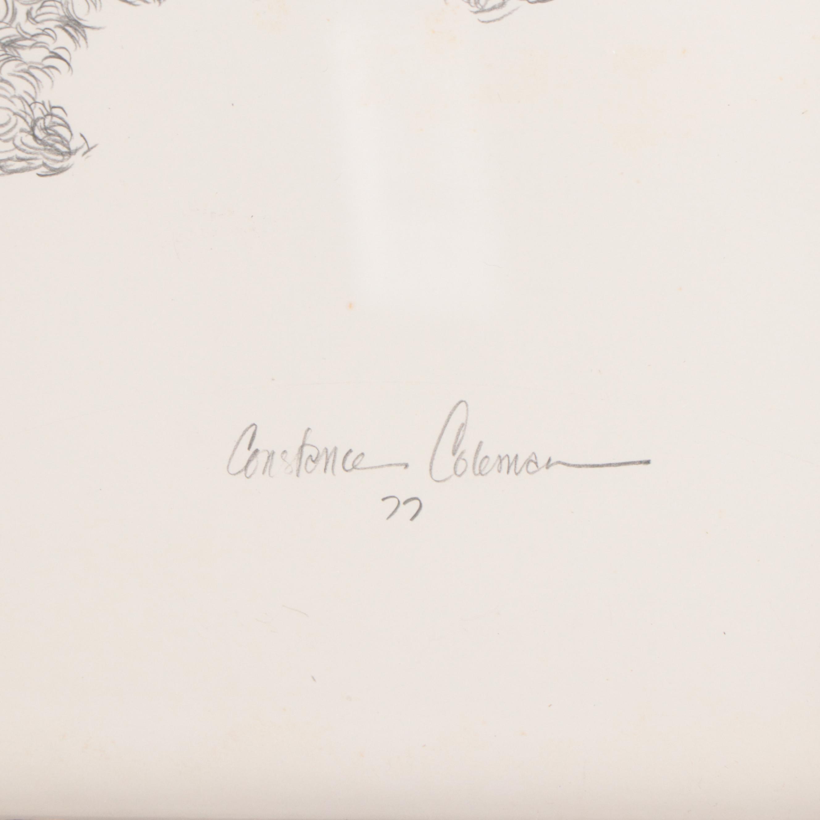 Constance Coleman Graphite Drawings of Dogs, 1977